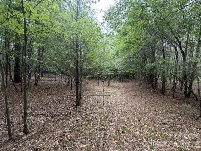 1100 Blacksburg Road Property Photo 15