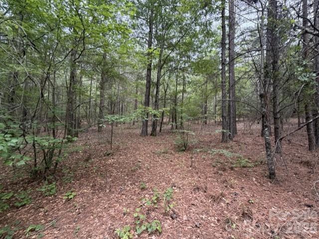 1100 Blacksburg Road Property Photo 16