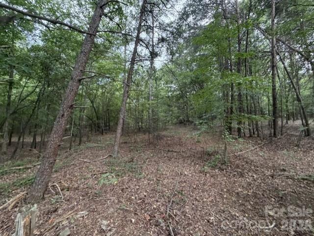 1100 Blacksburg Road Property Photo 18