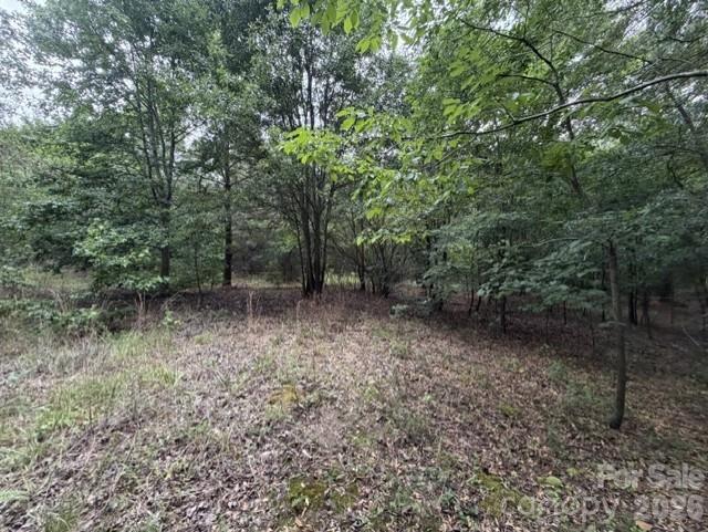 1100 Blacksburg Road Property Photo 21