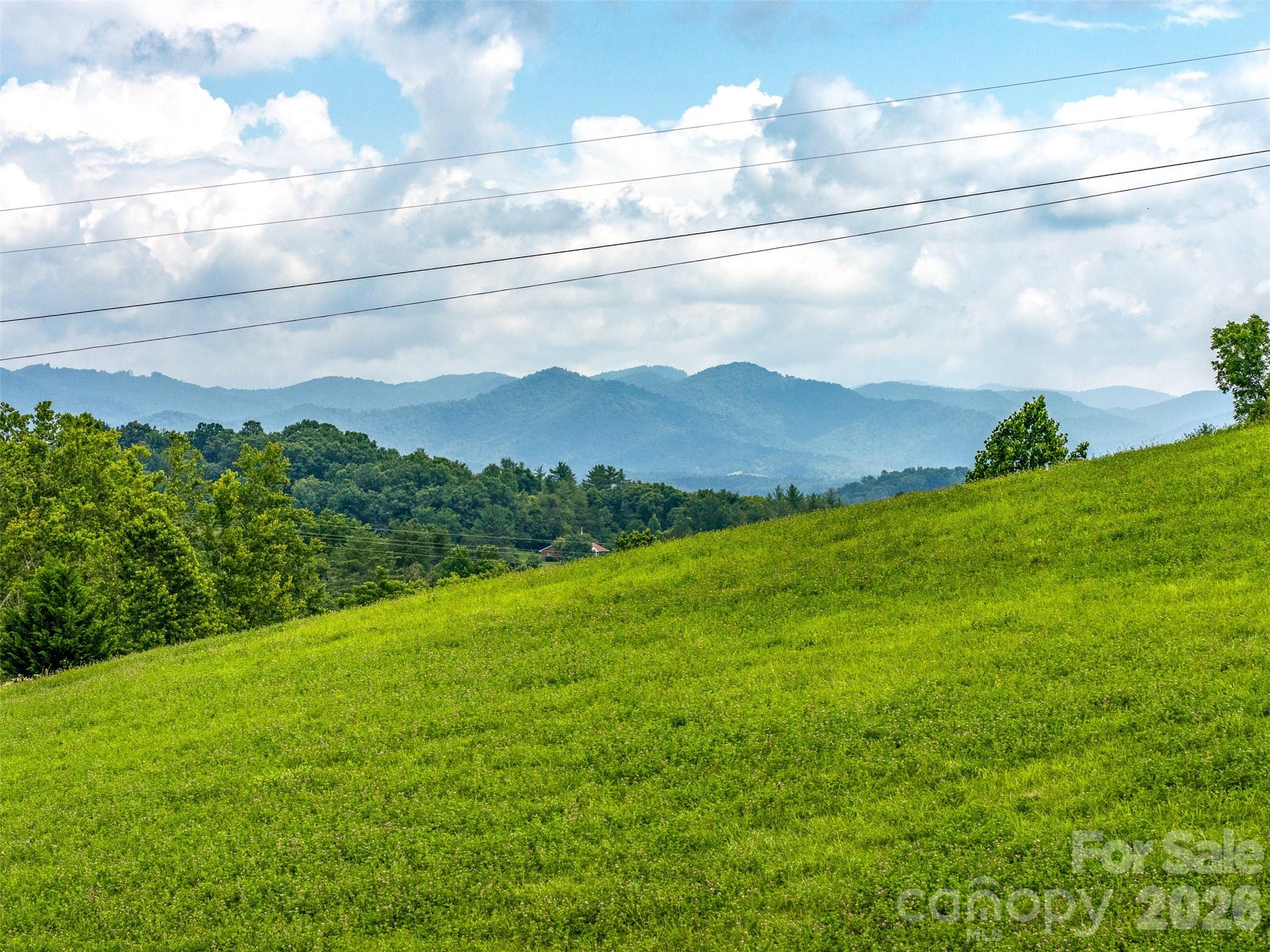 99999 Sprouse Town Road Property Photo 4