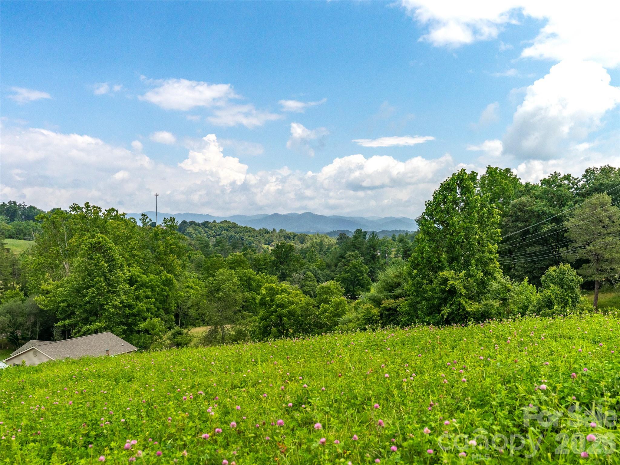 99999 Sprouse Town Road Property Photo 9