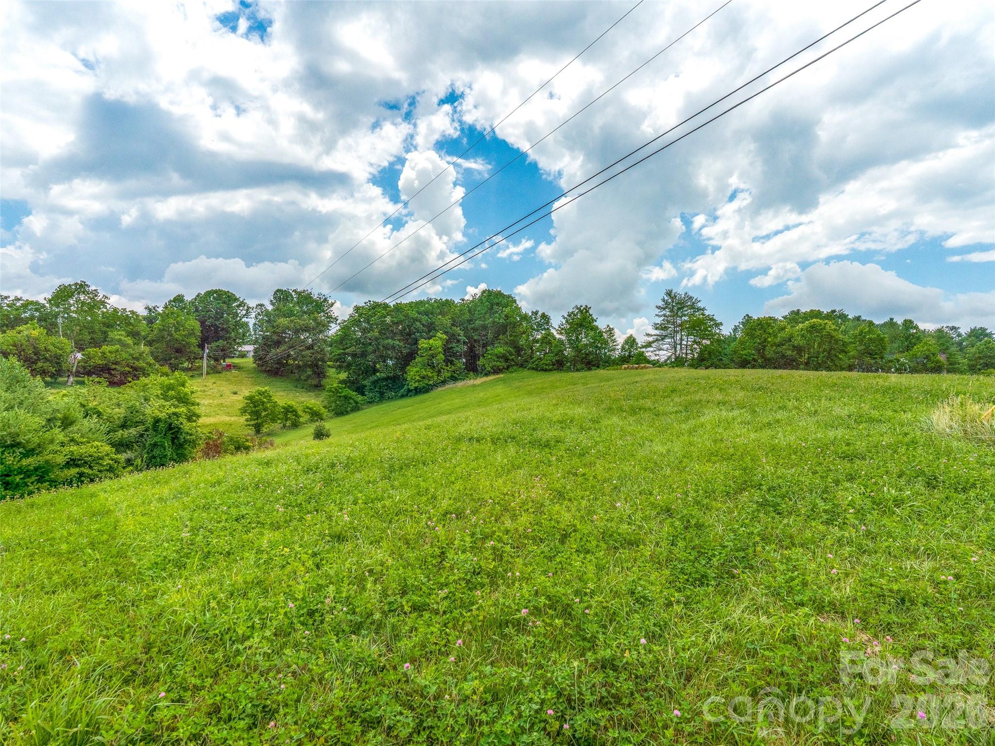 99999 Sprouse Town Road Property Photo 11