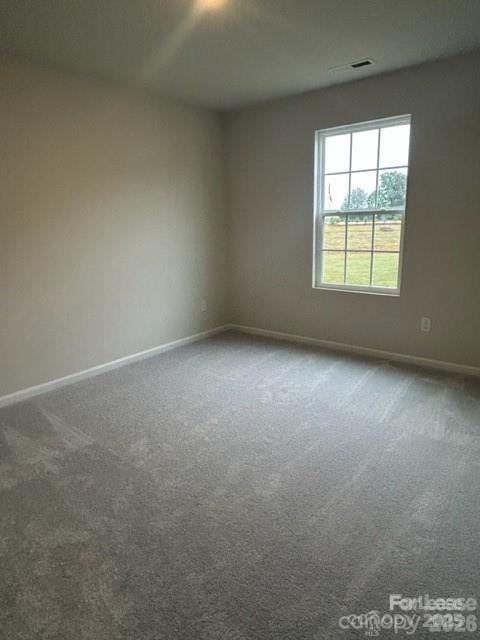 173 Hanging Rock Trail Property Photo 16