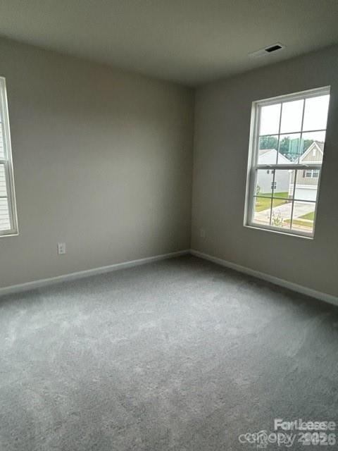 173 Hanging Rock Trail Property Photo 18