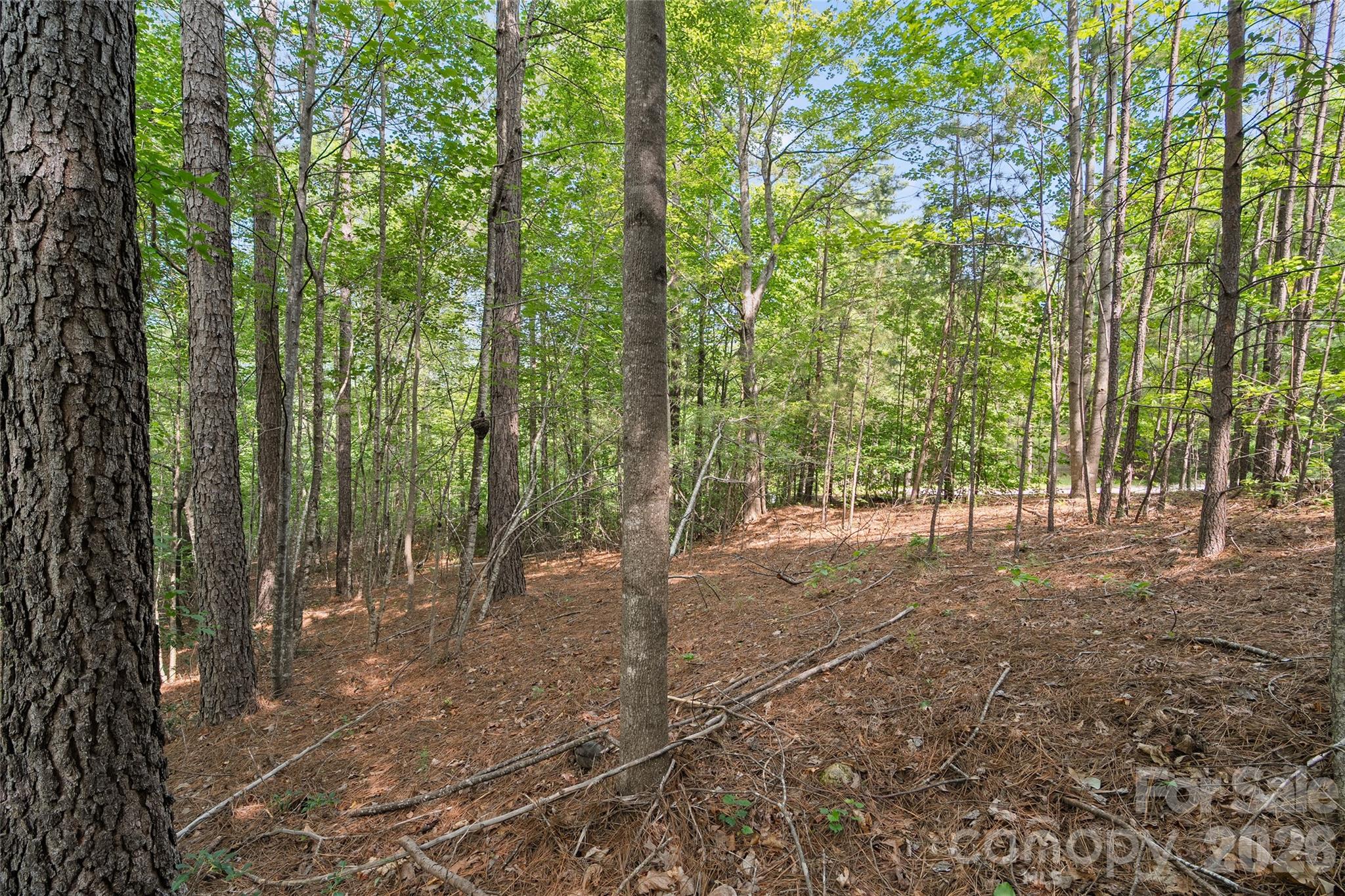 Lot 24 Monteith Place Property Photo 6