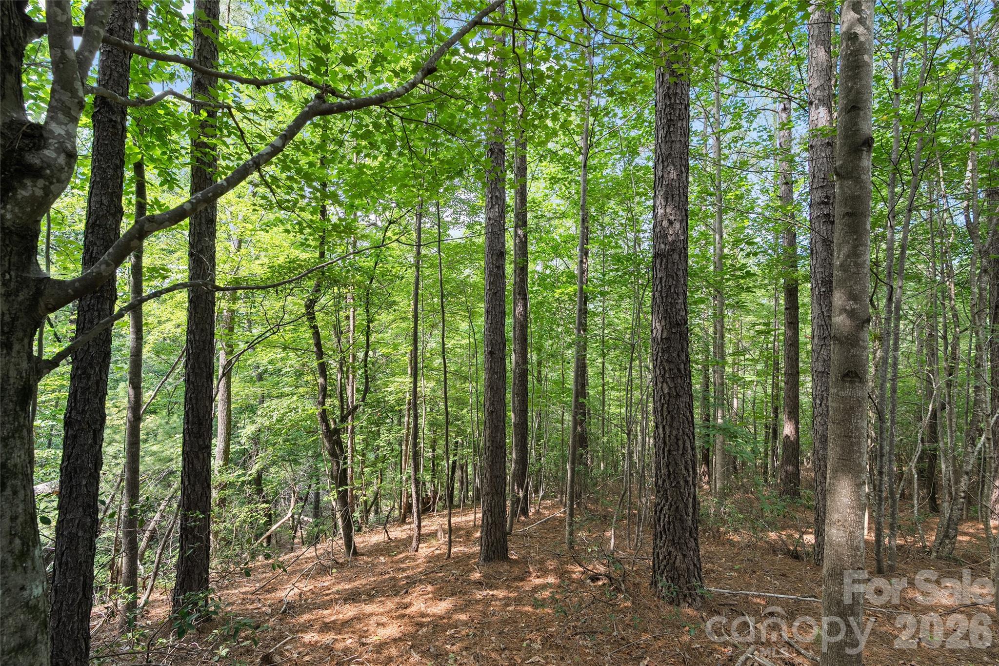 Lot 24 Monteith Place Property Photo 7