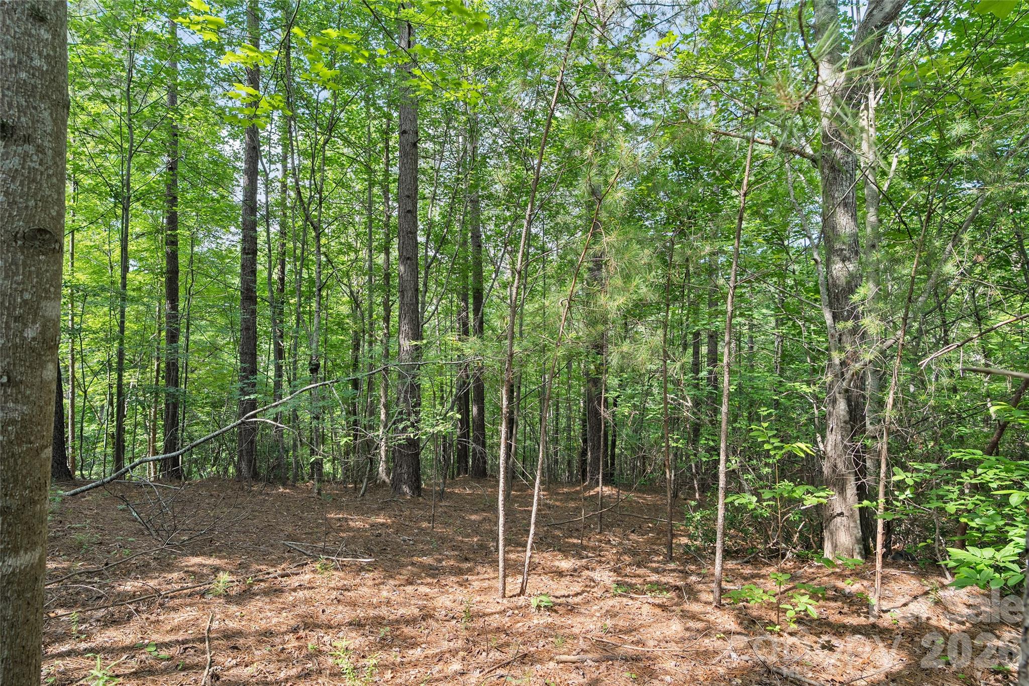Lot 24 Monteith Place Property Photo 8
