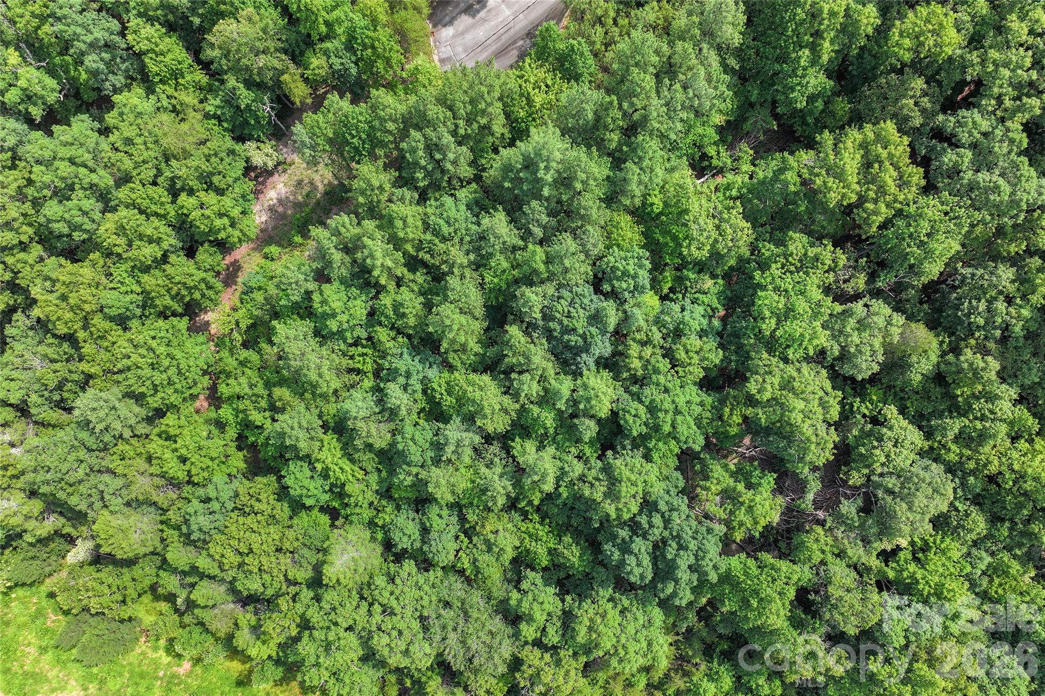 Lot 24 Monteith Place Property Photo 9
