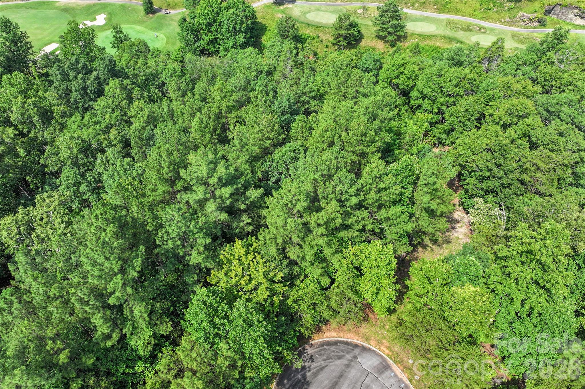 Lot 24 Monteith Place Property Photo 10