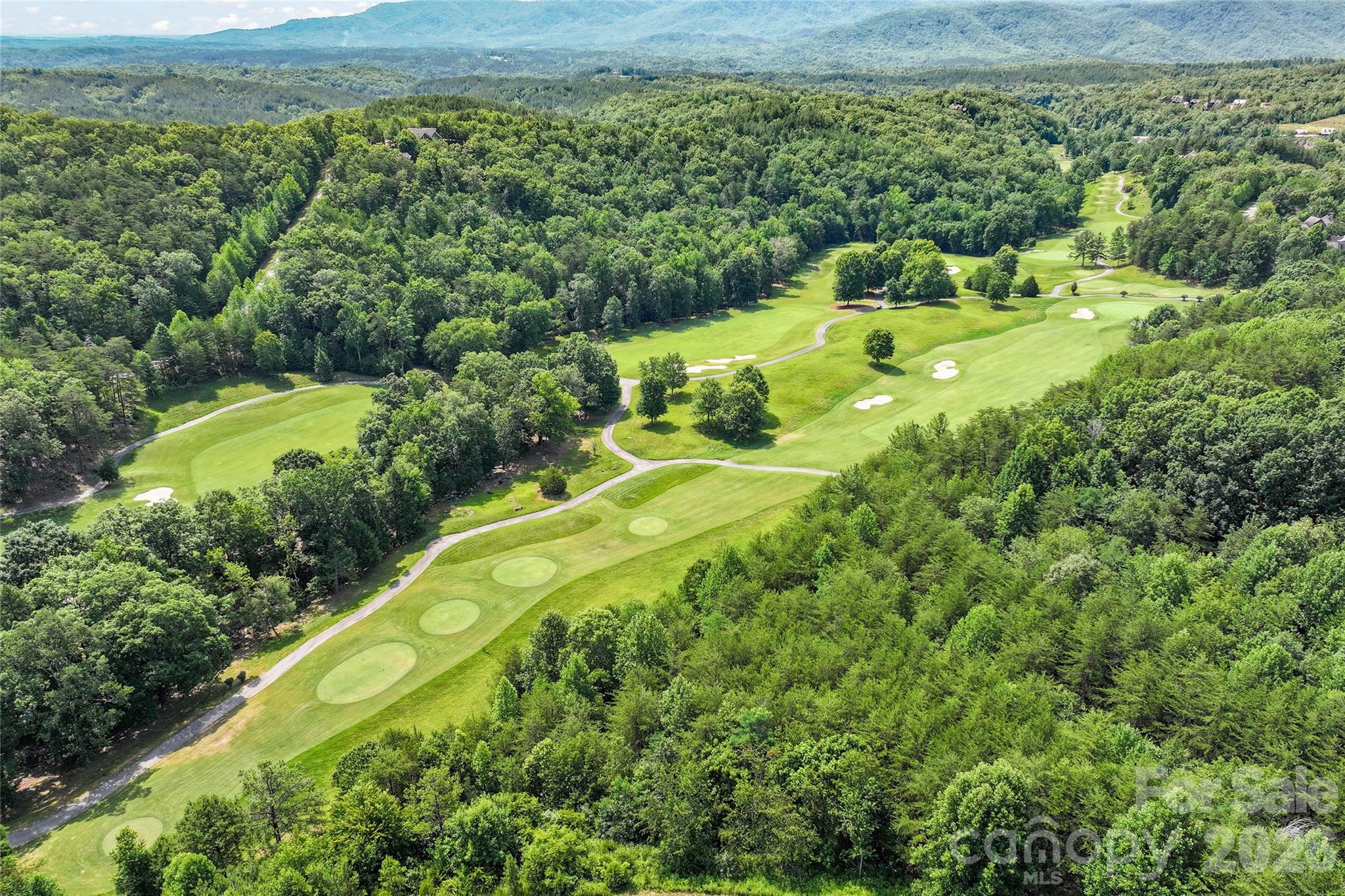 1361 E Deep Gap Farm Road Property Photo 3
