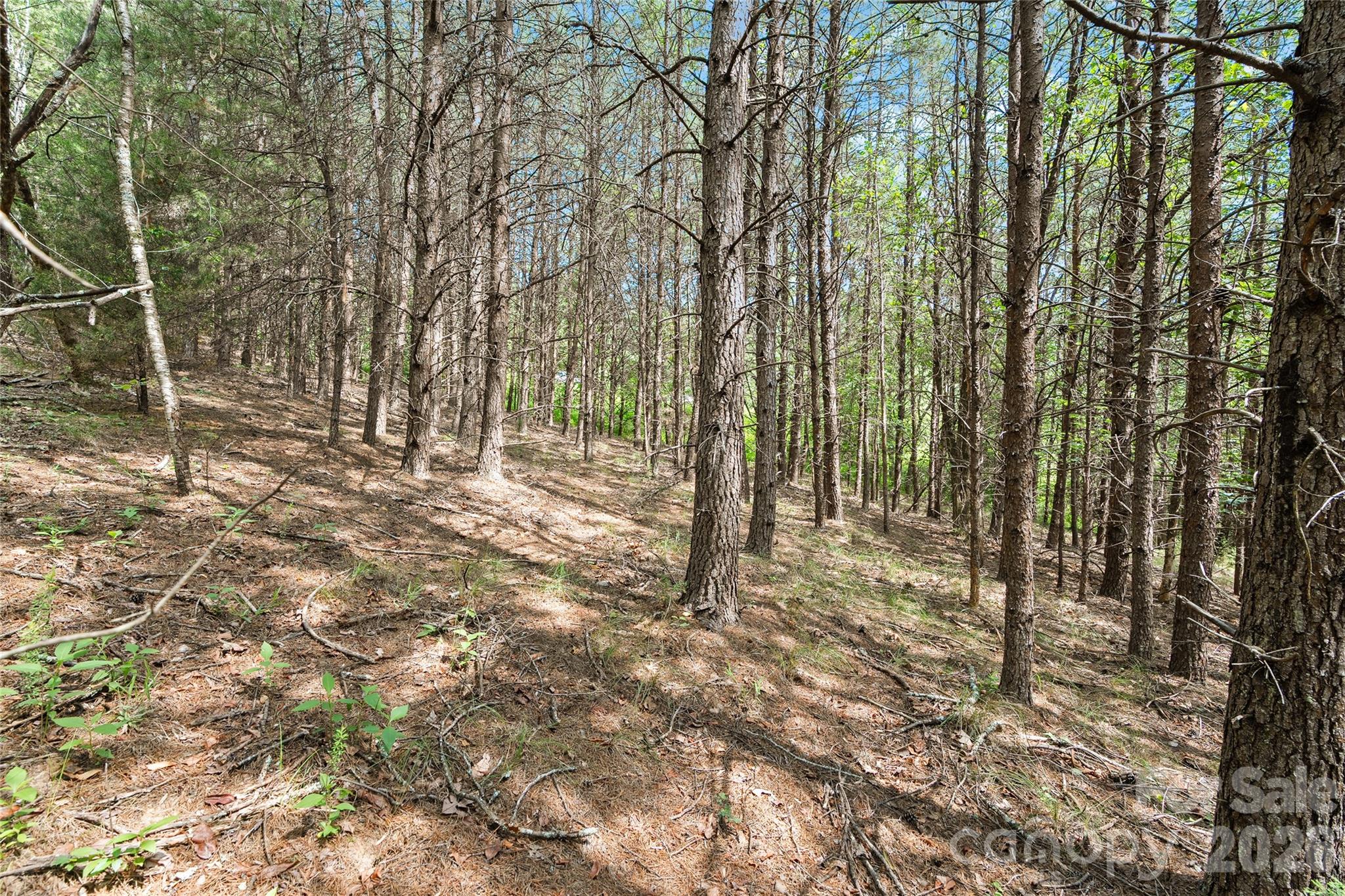 1361 E Deep Gap Farm Road Property Photo 7