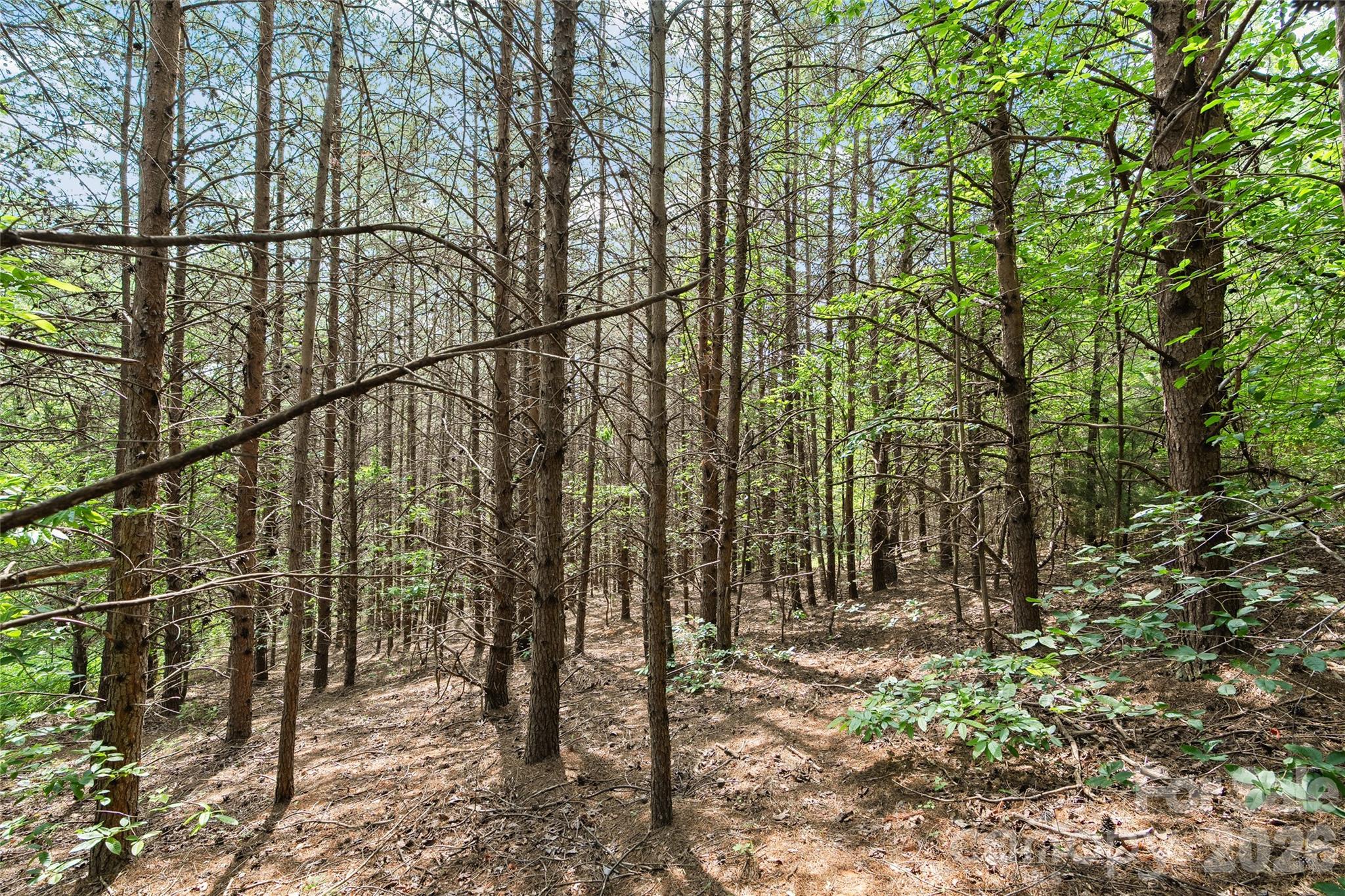 1361 E Deep Gap Farm Road Property Photo 8