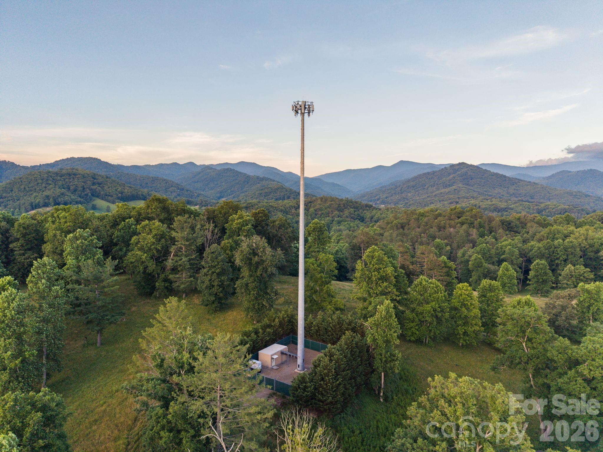 1372 & 1370 Barnardsville Highway Property Photo 46