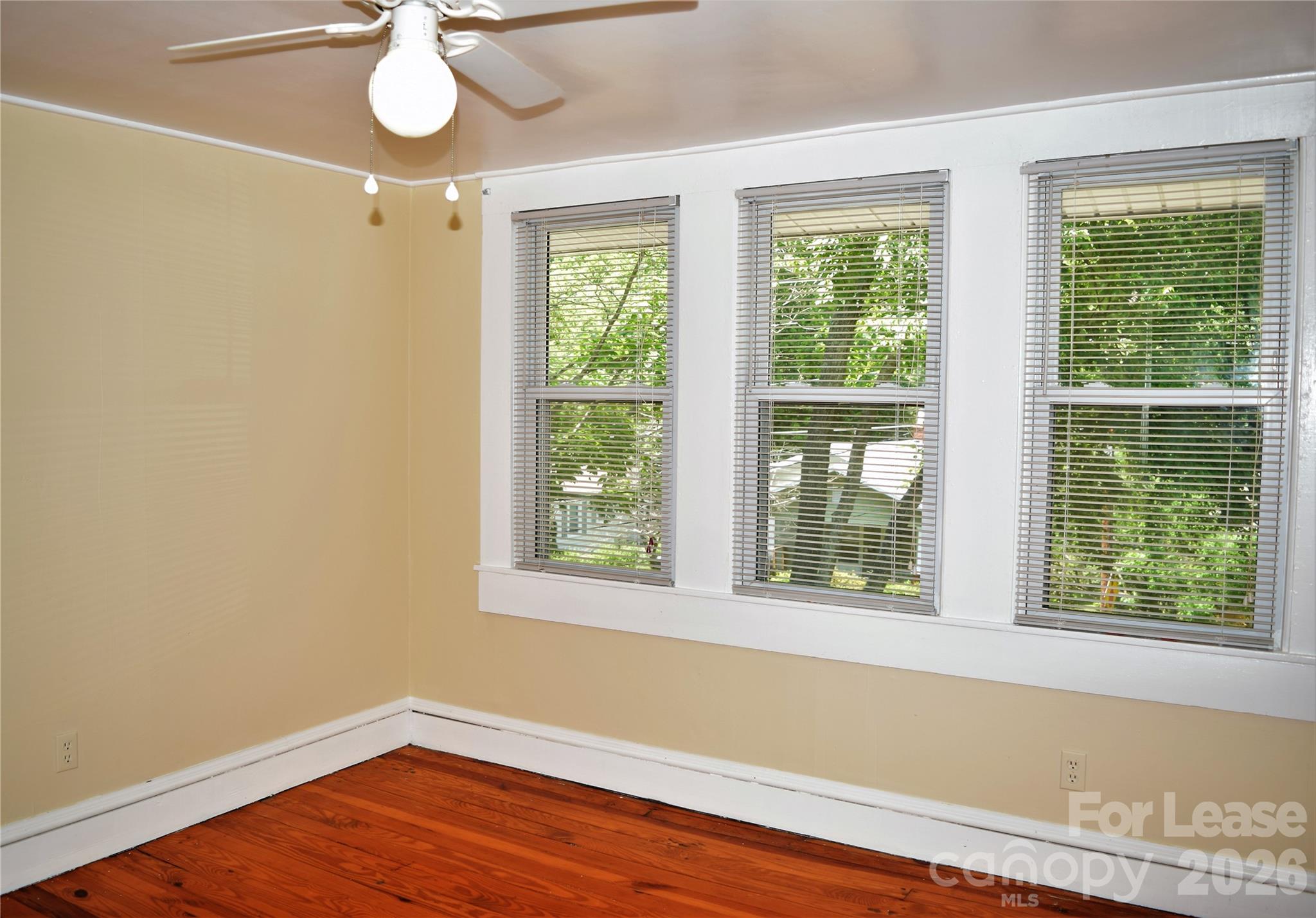 223 Maple Street Property Photo 25
