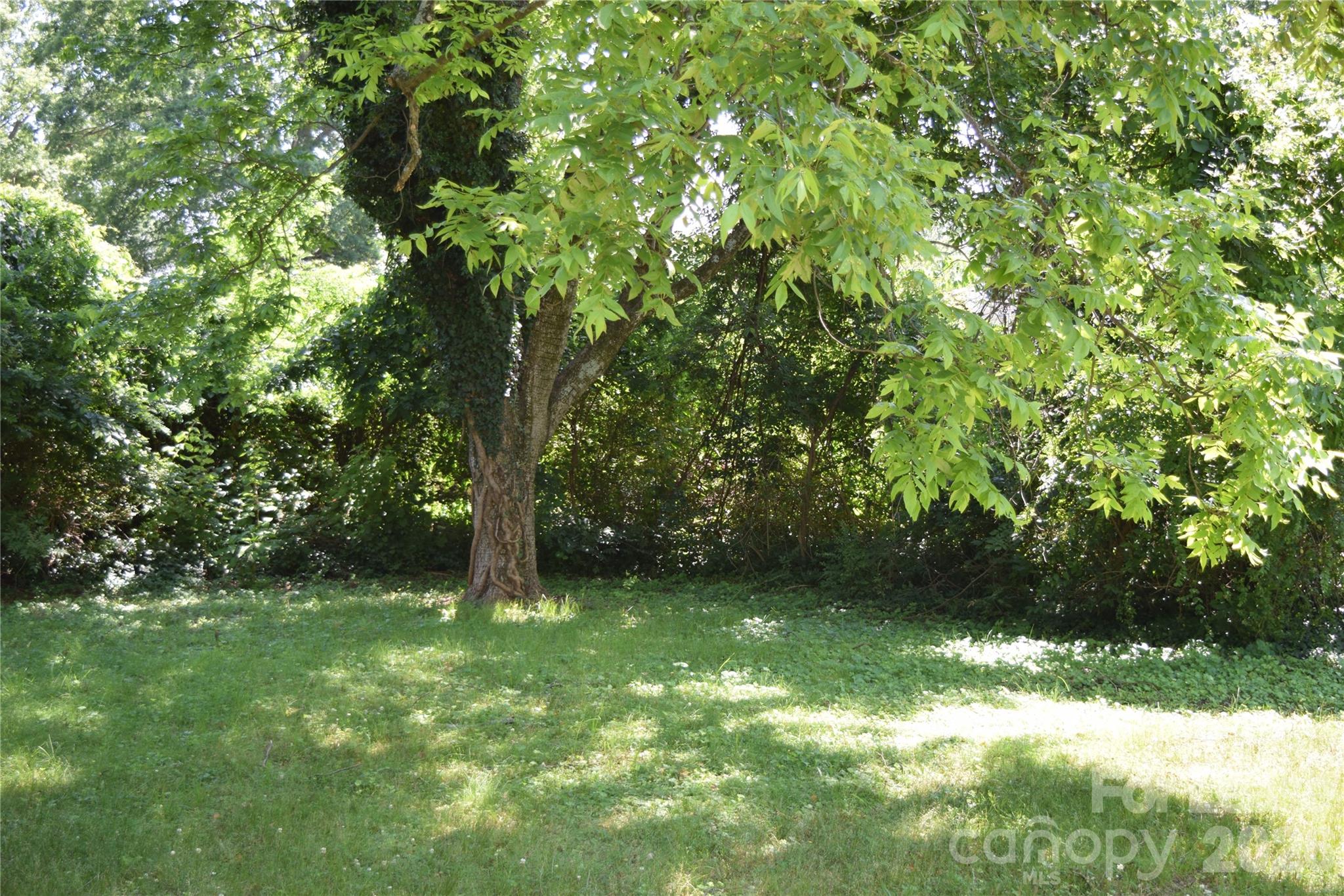223 Maple Street Property Photo 32