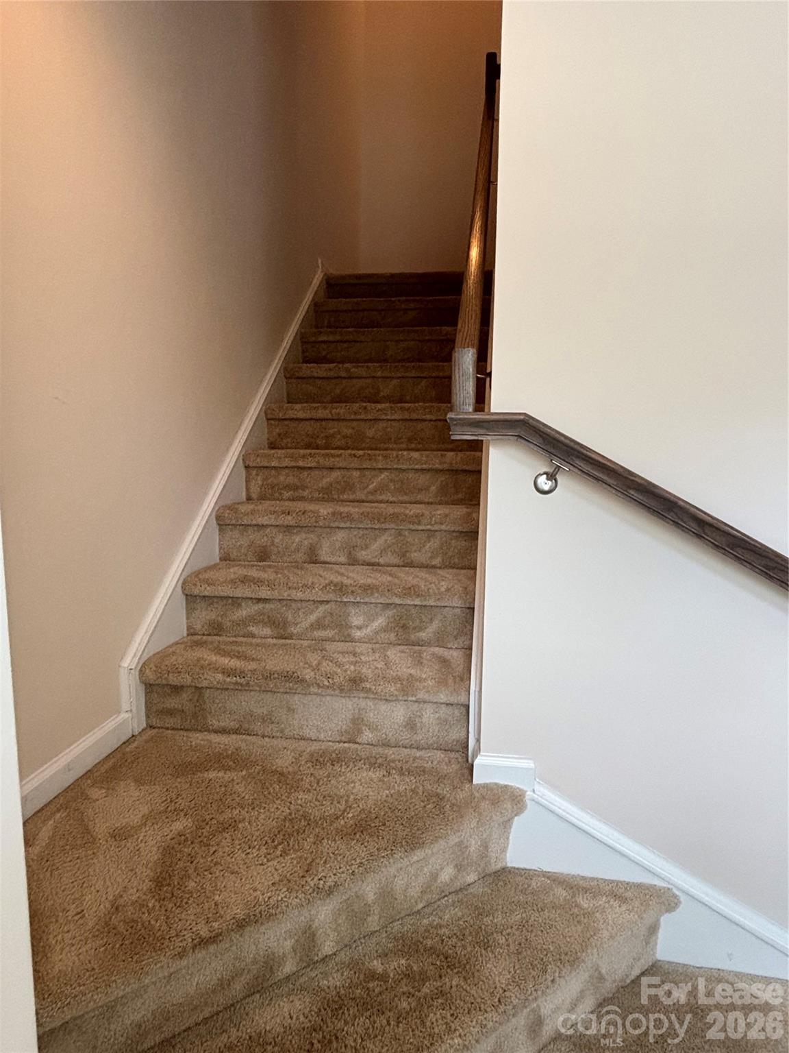 7411 Red Mulberry Way Property Photo 15