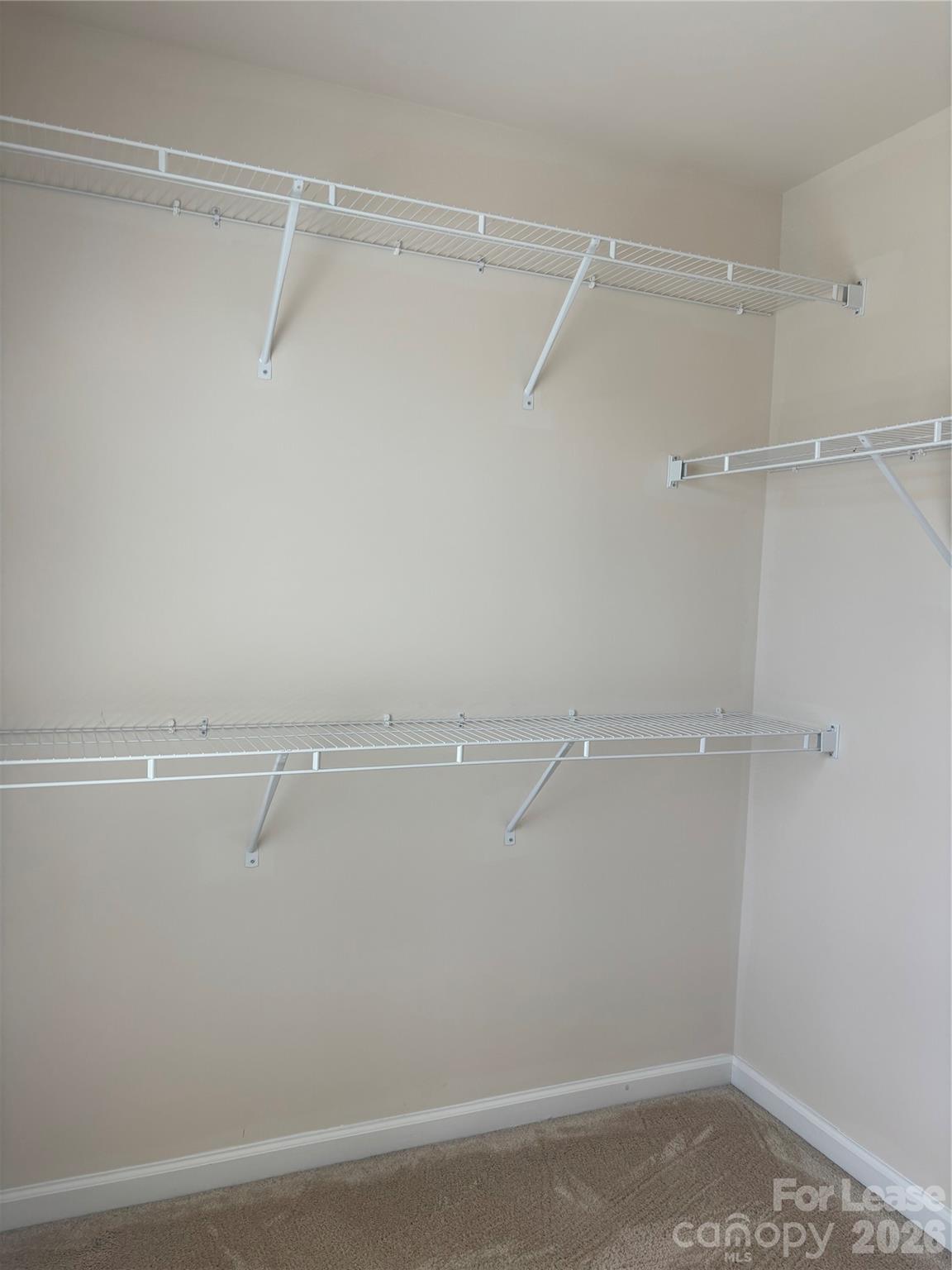 7411 Red Mulberry Way Property Photo 18