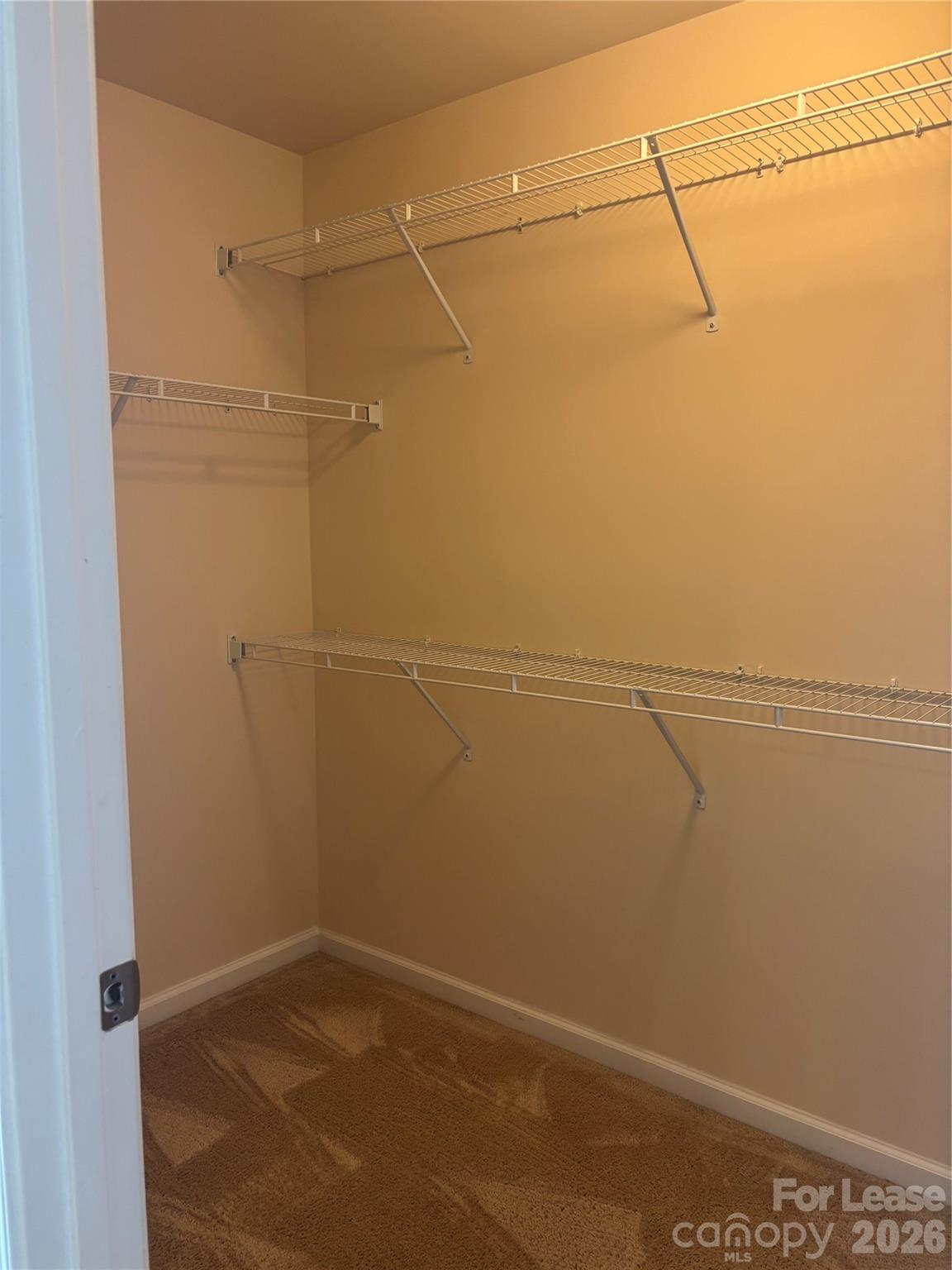 7411 Red Mulberry Way Property Photo 24