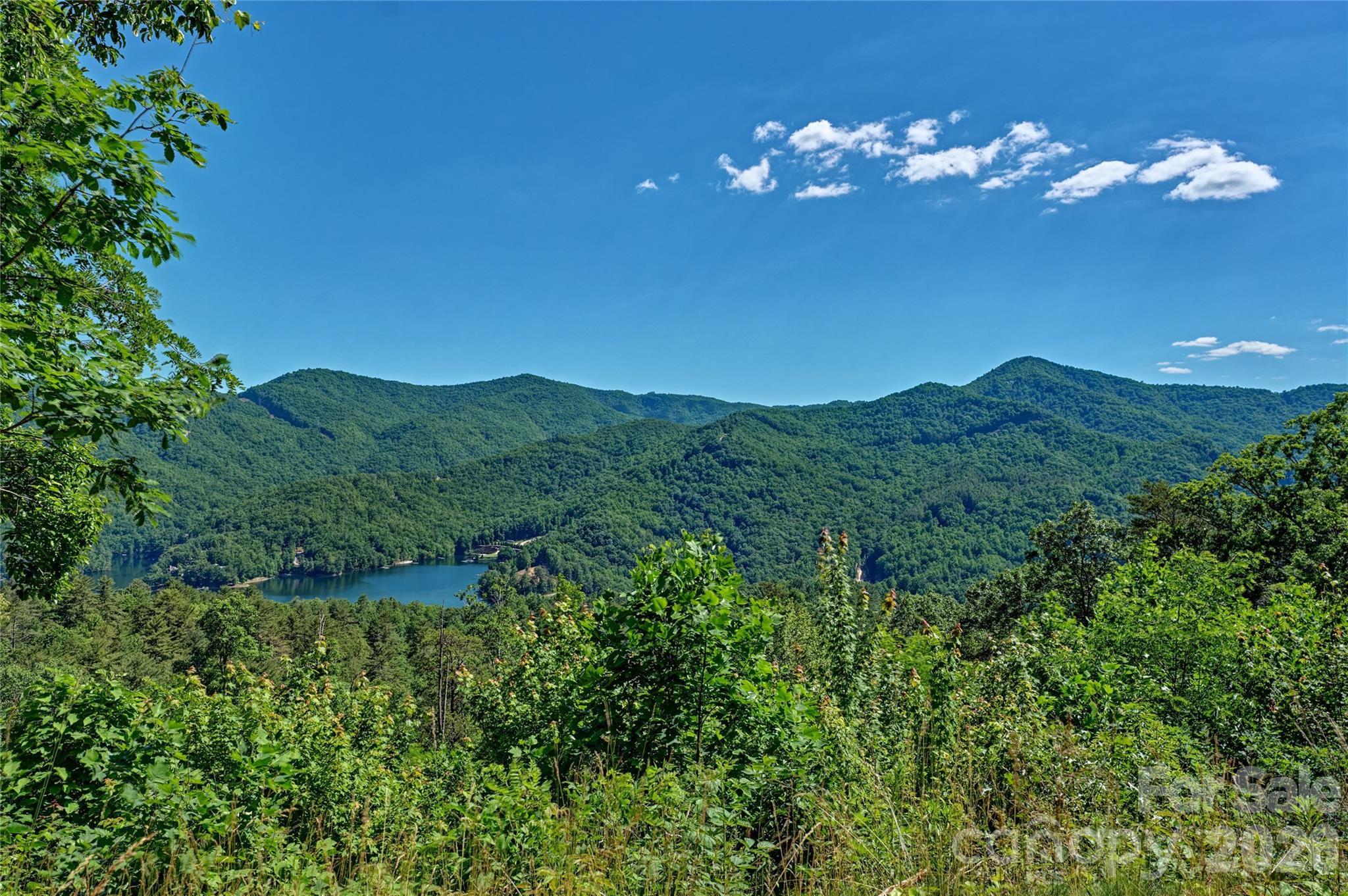 4017 Canada Road Property Photo 5
