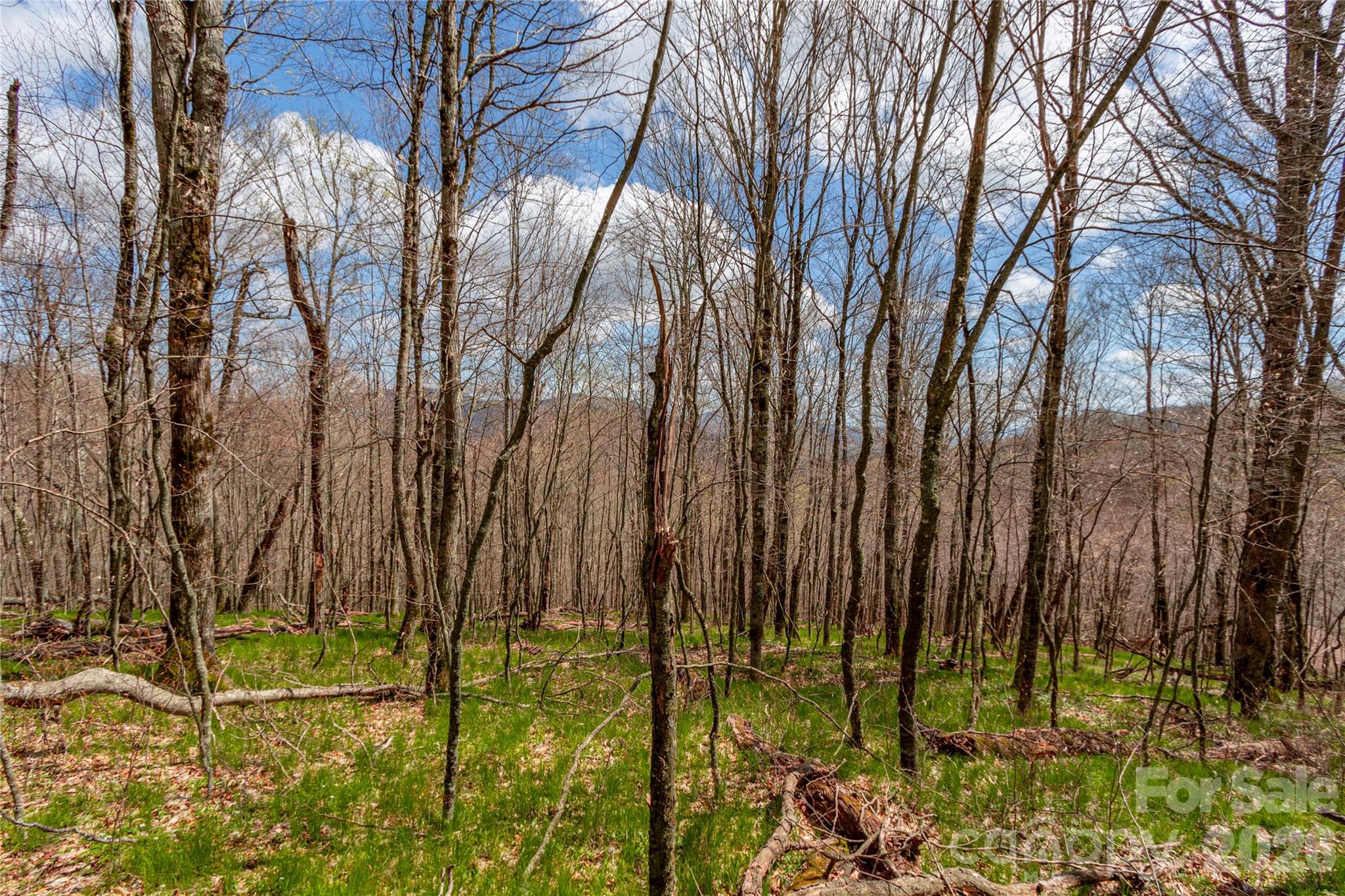 Lots 4,5 & 7 Mule Trail Drive Property Photo 1