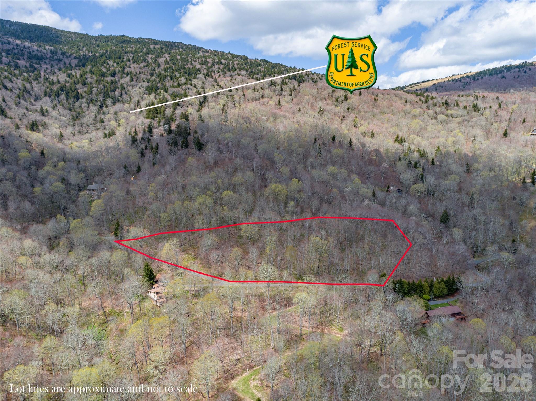 Lots 4,5 & 7 Mule Trail Drive Property Photo 6