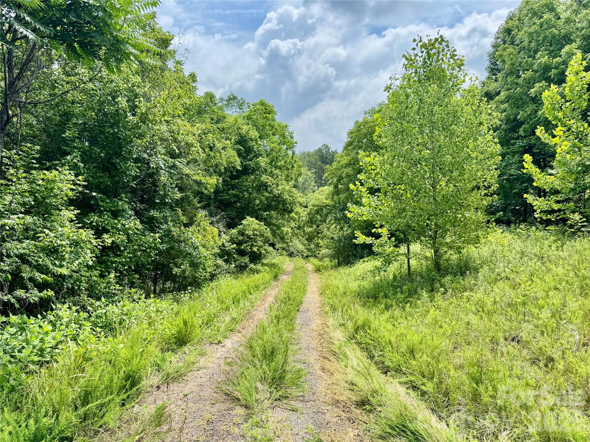 000 Butler Mill Road Property Photo 11