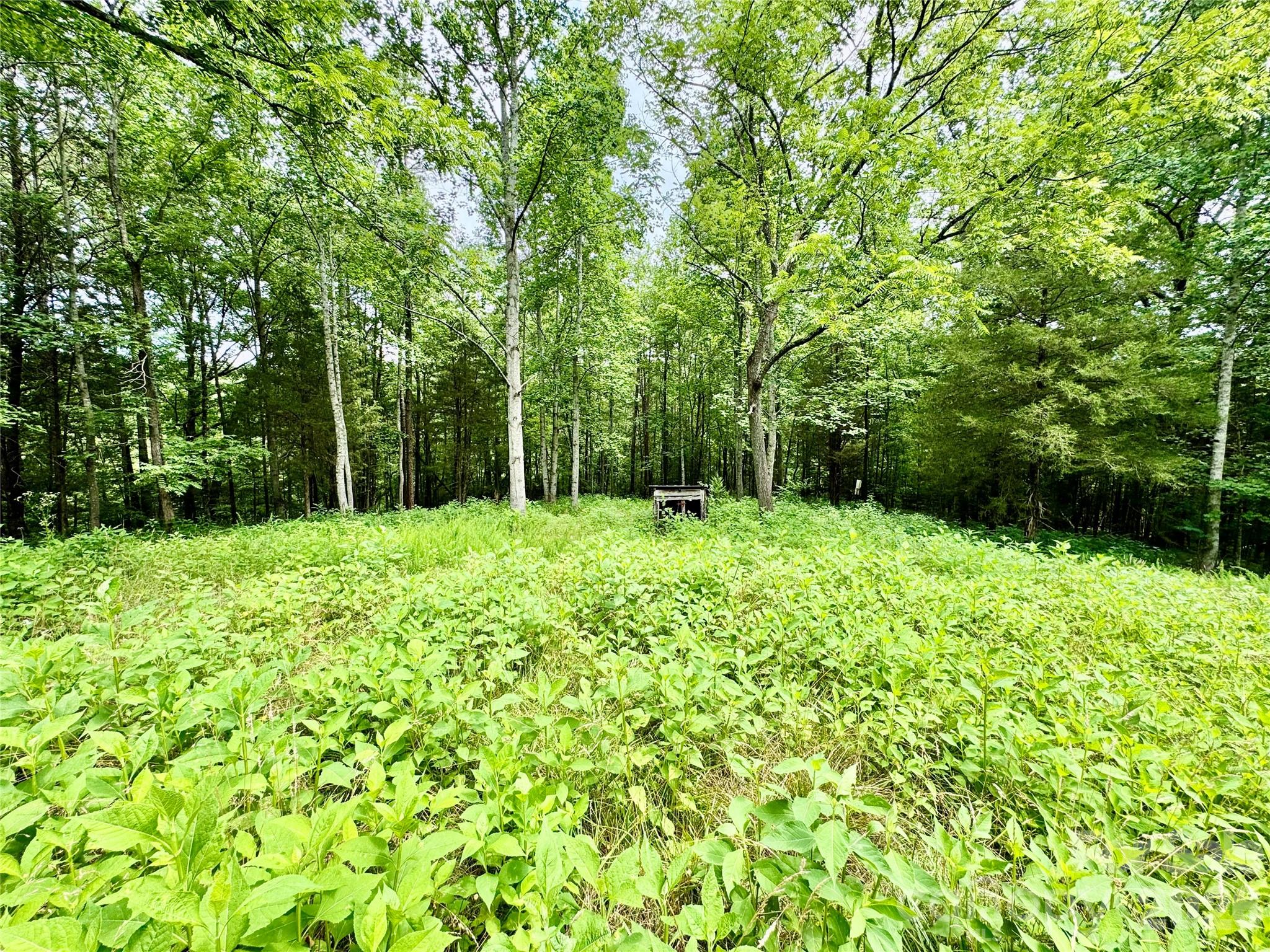 000 Butler Mill Road Property Photo 14