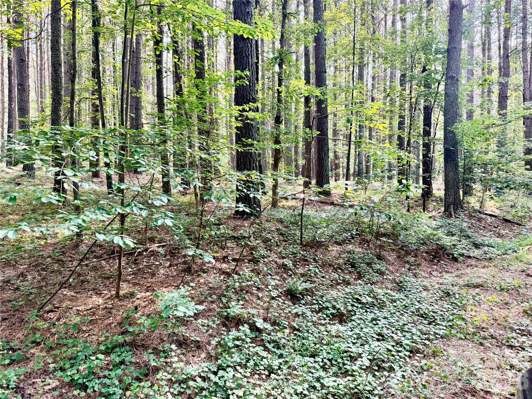 000 Butler Mill Road Property Photo 16