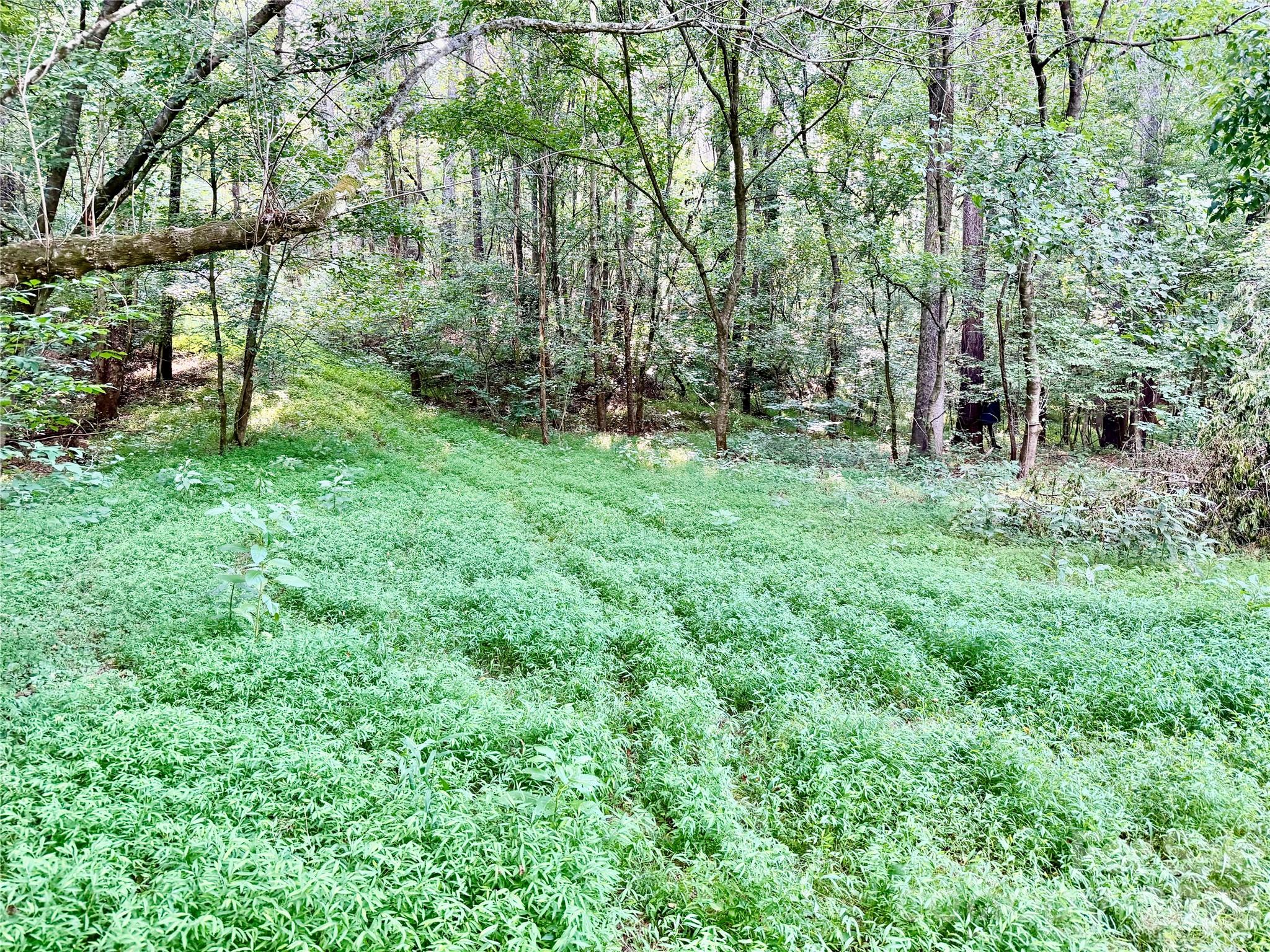 000 Butler Mill Road Property Photo 17