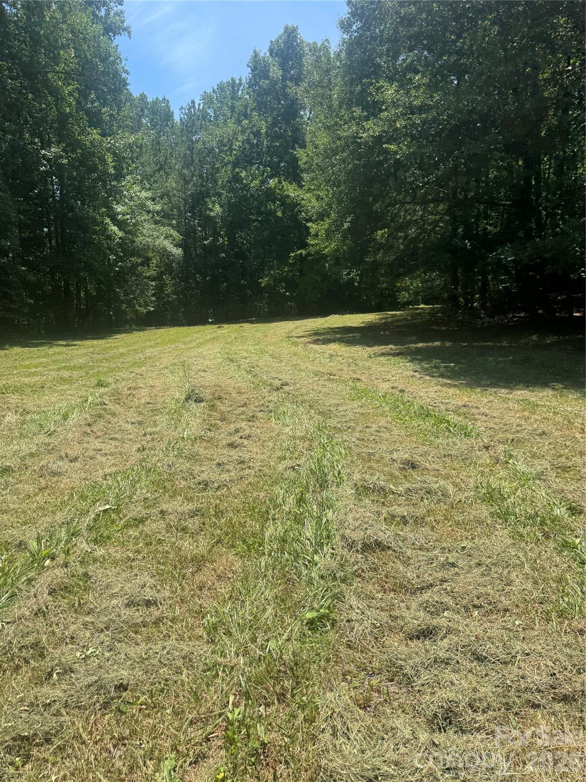 00 Capps Road Property Photo 8