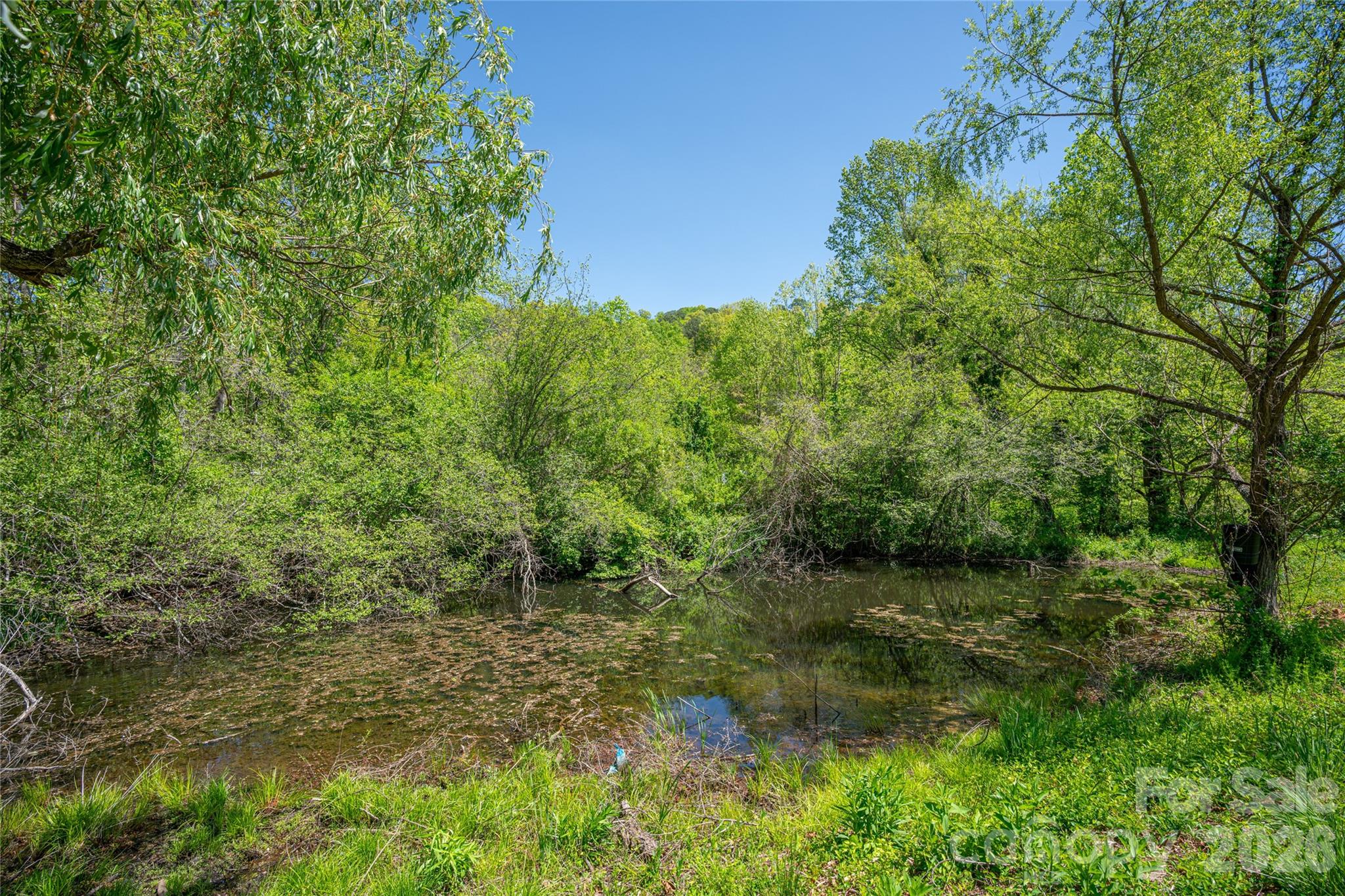 7 Lula Cove Road Property Photo 41