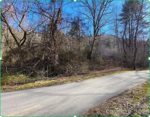 1141 Monteith Gap Road Property Photo 2