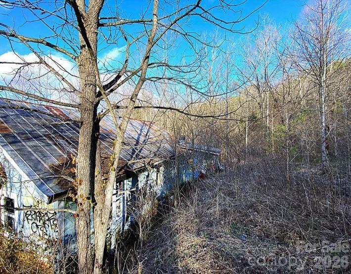 1141 Monteith Gap Road Property Photo 3