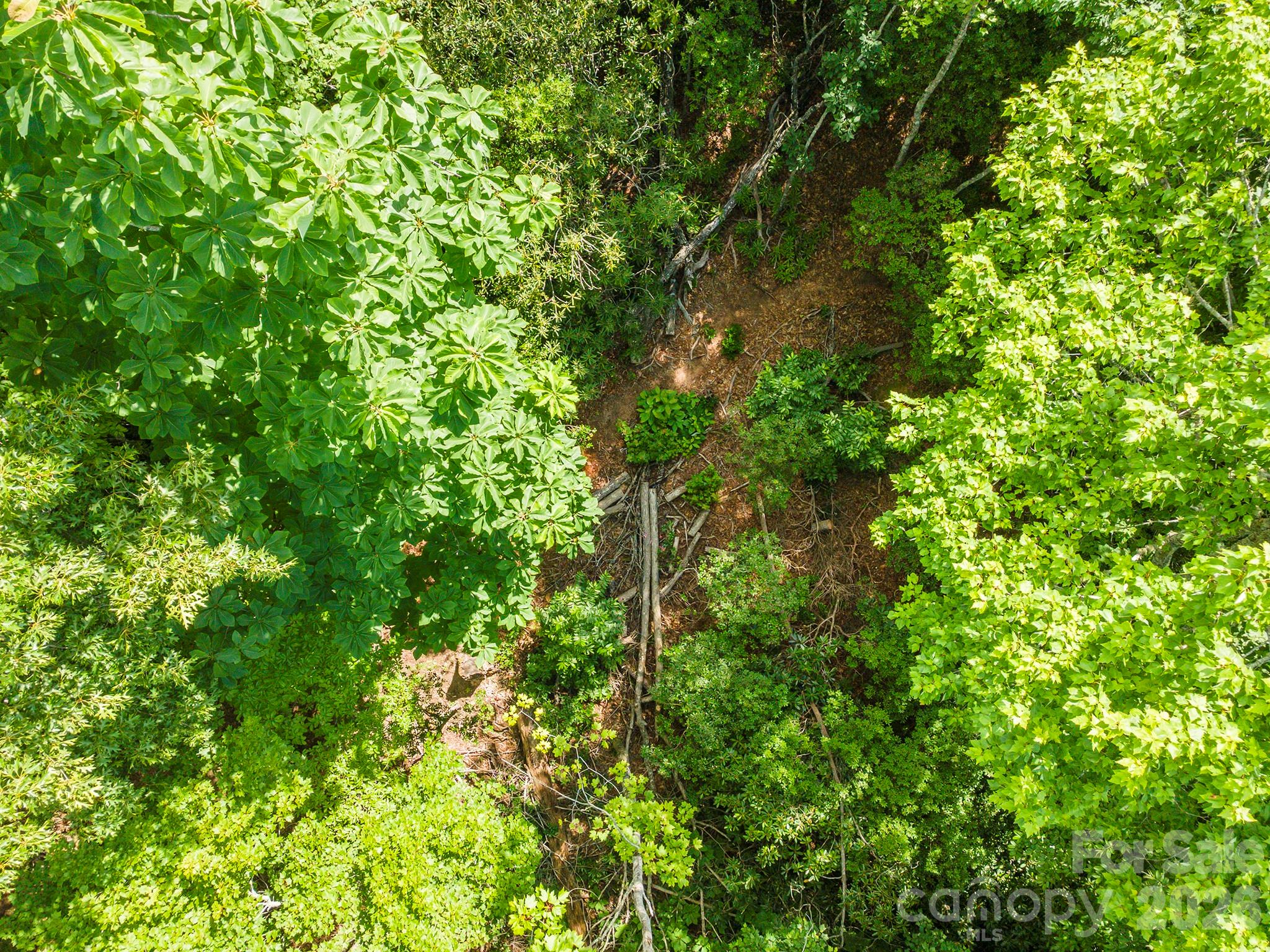 212 Harmony Lane Property Photo 18