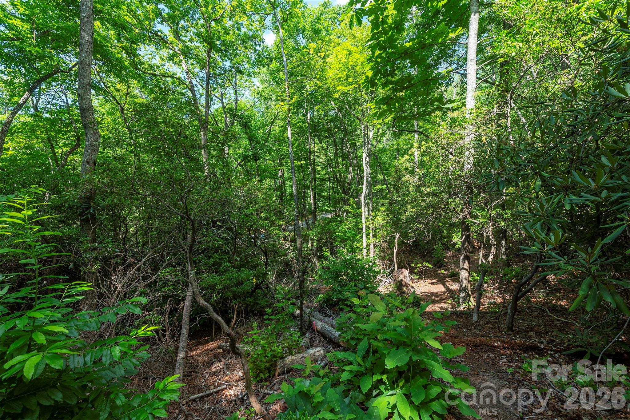 212 Harmony Lane Property Photo 30