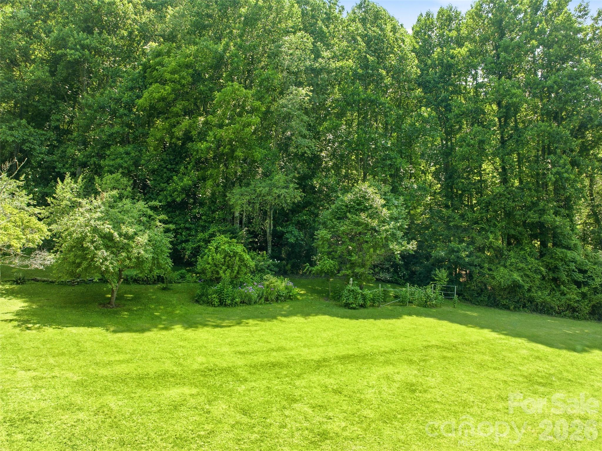 252 Big Stomp Road Property Photo 10