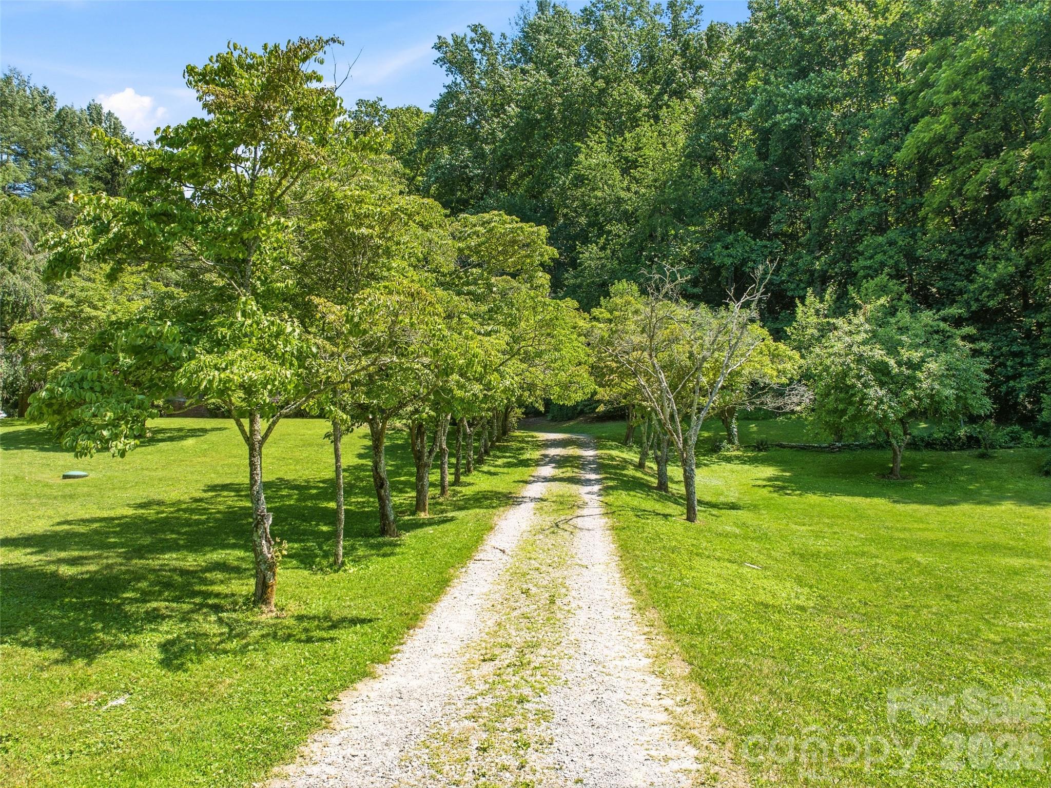 252 Big Stomp Road Property Photo 11