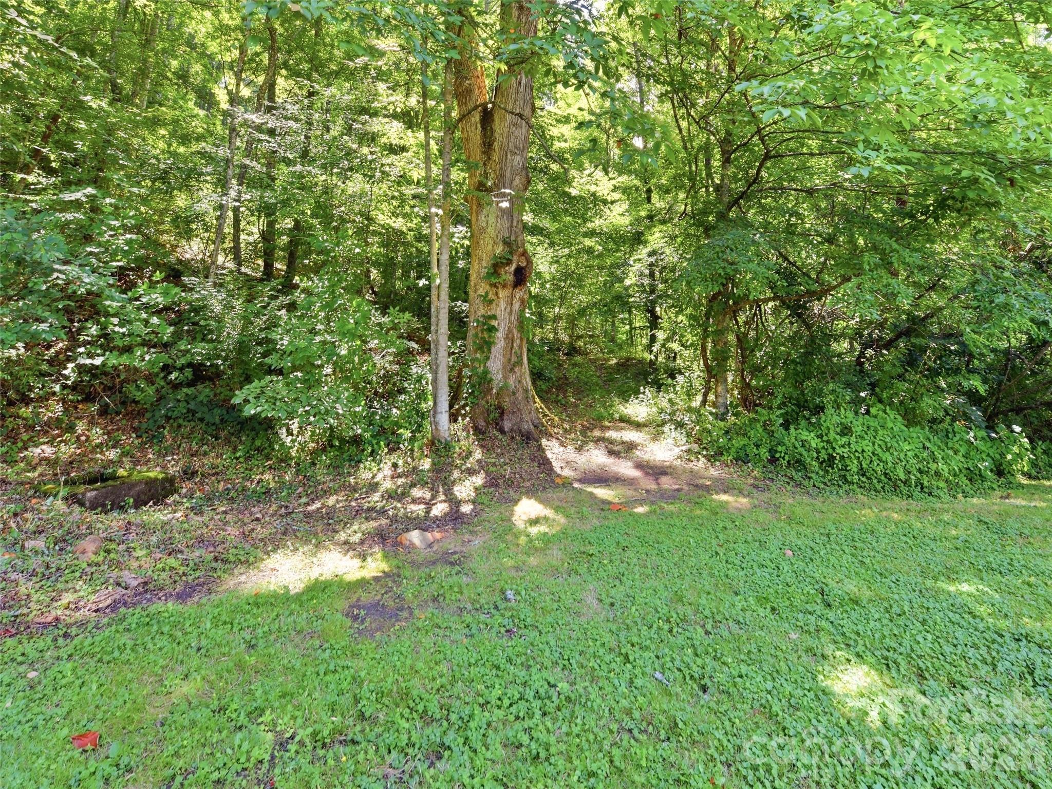 252 Big Stomp Road Property Photo 45