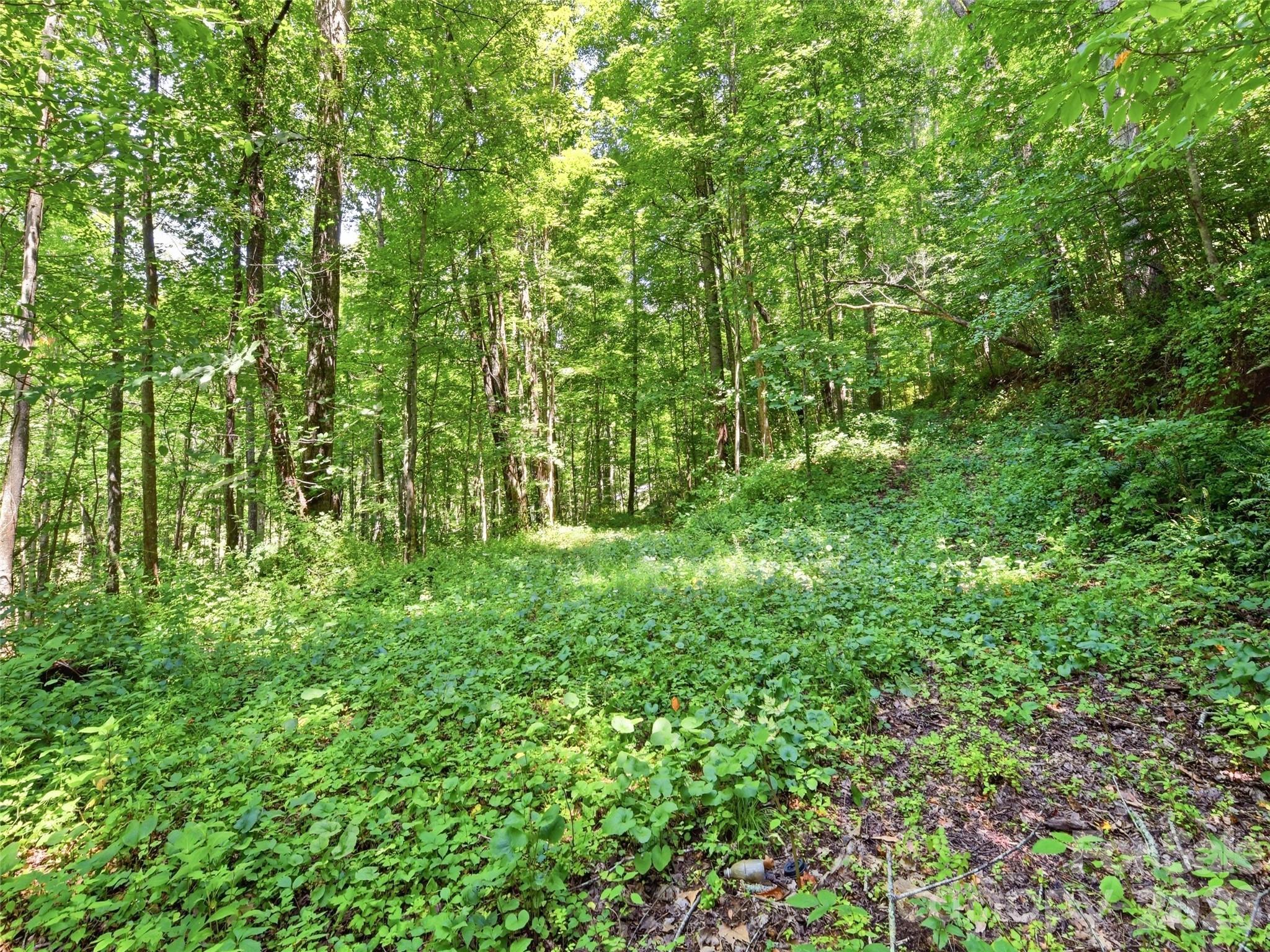 252 Big Stomp Road Property Photo 46