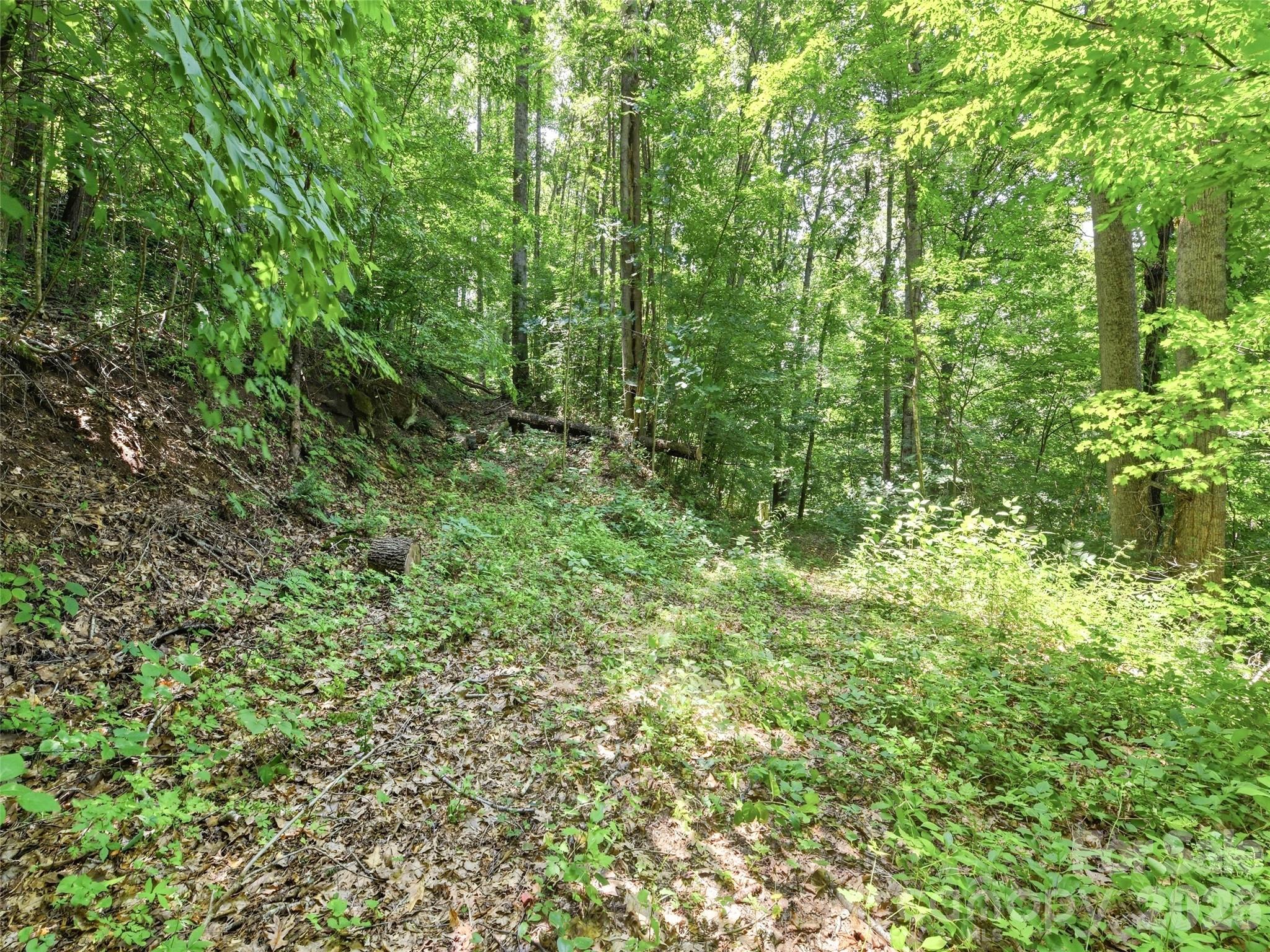 252 Big Stomp Road Property Photo 47