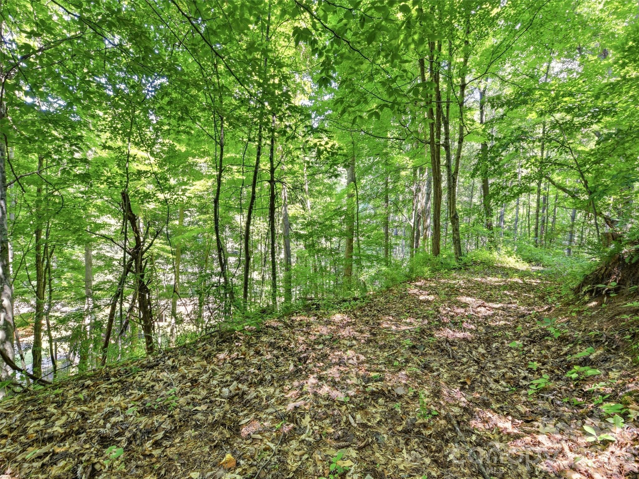 252 Big Stomp Road Property Photo 48