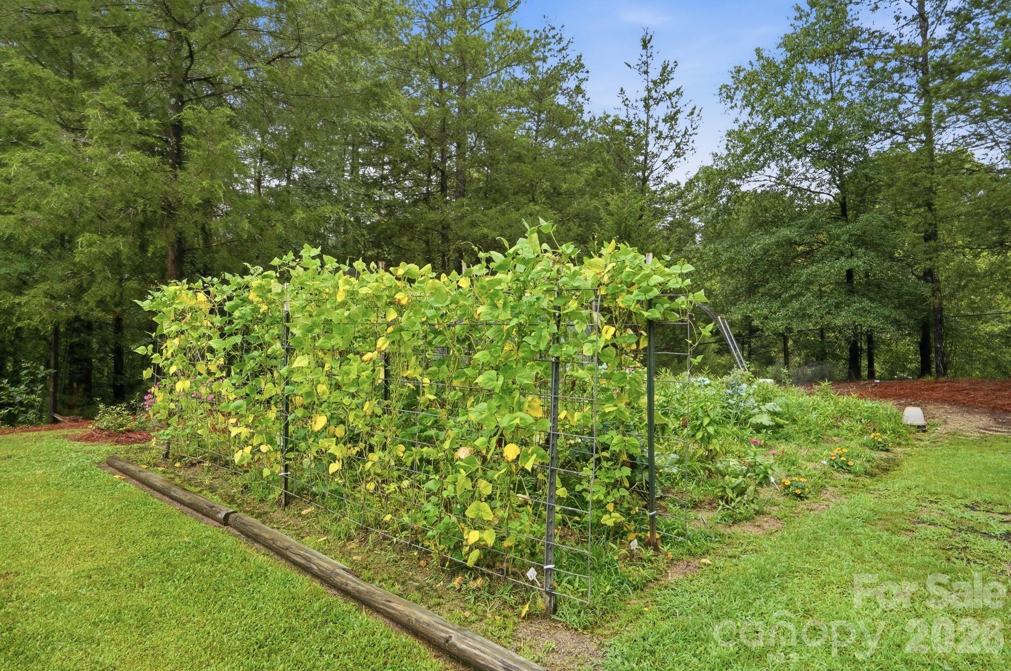 1150 Oak Trail Circle Property Photo 46