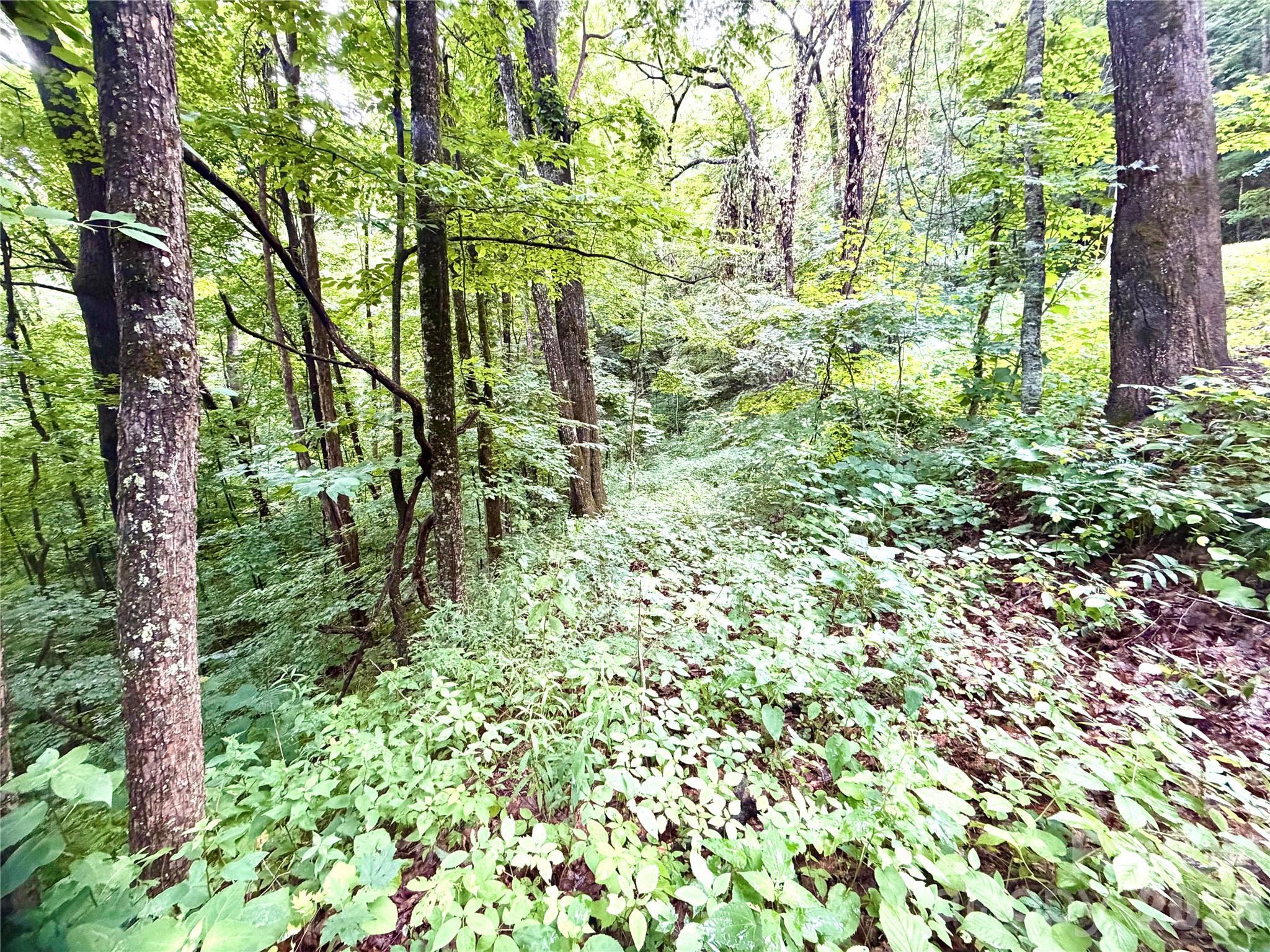 505 Mountainside Drive 27, 28, 29, 30, 31, 32 Property Photo 11