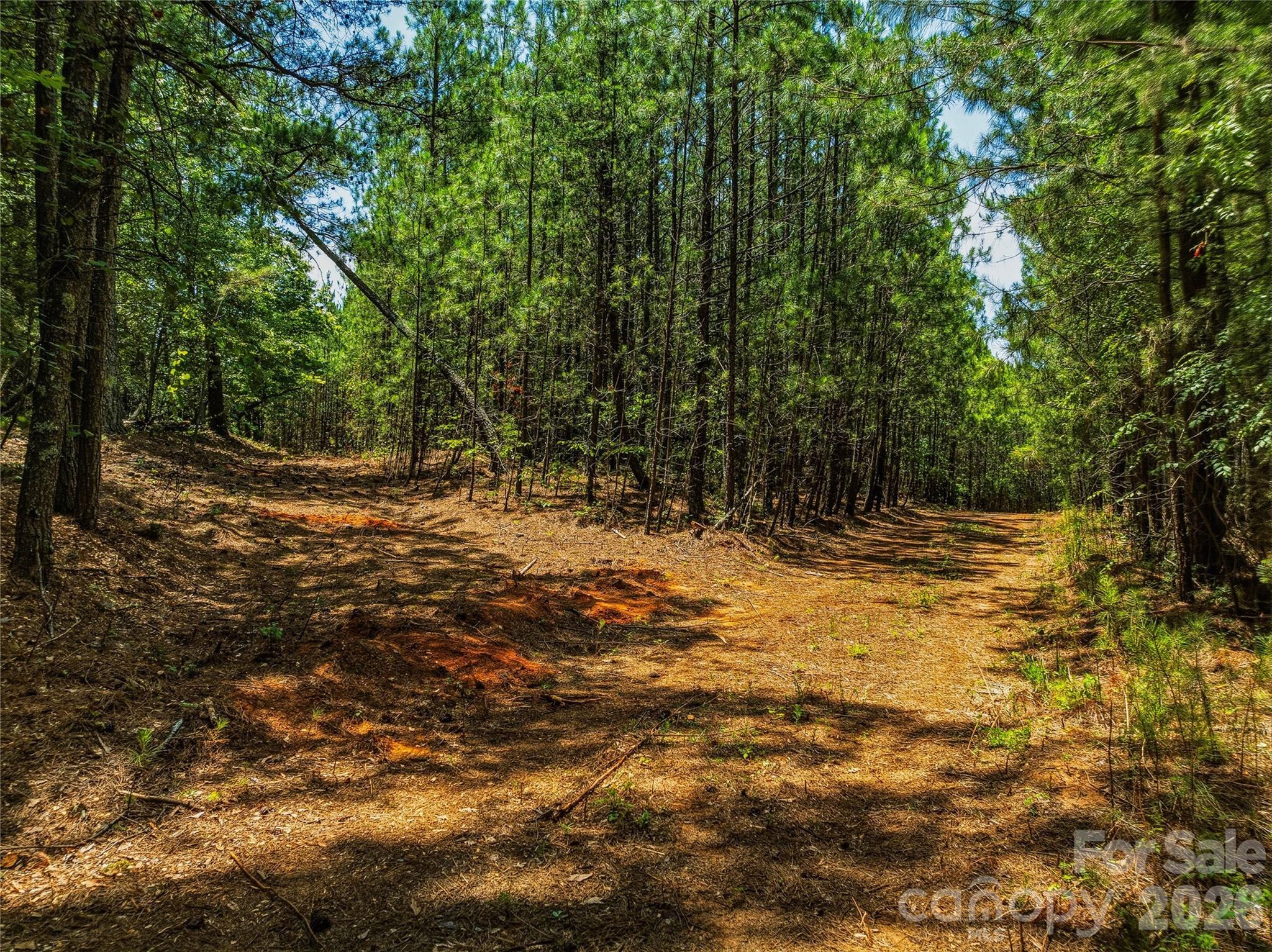 6783 Peniel Road Property Photo 7