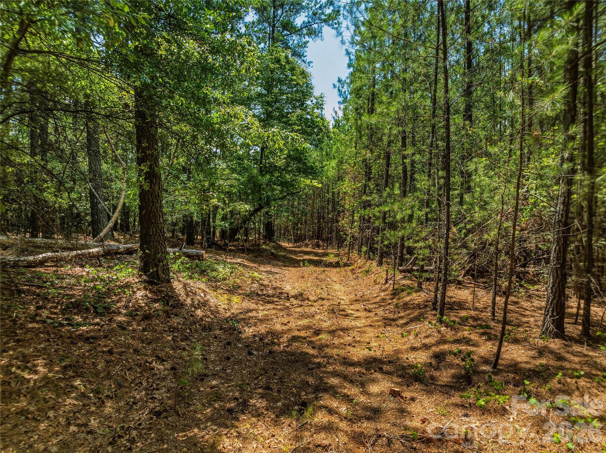 6783 Peniel Road Property Photo 11