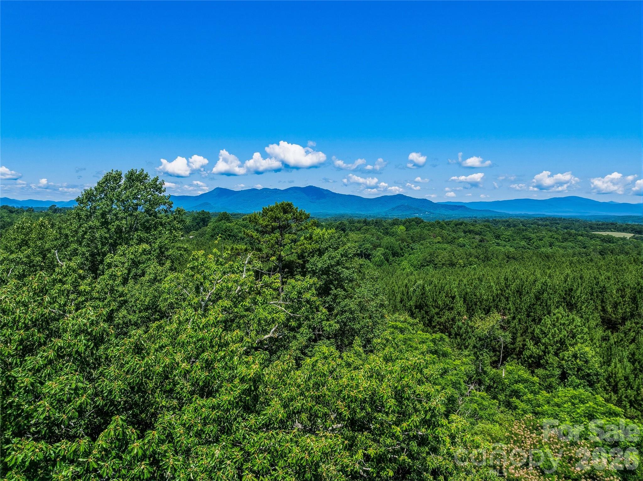 6783 Peniel Road Property Photo 15