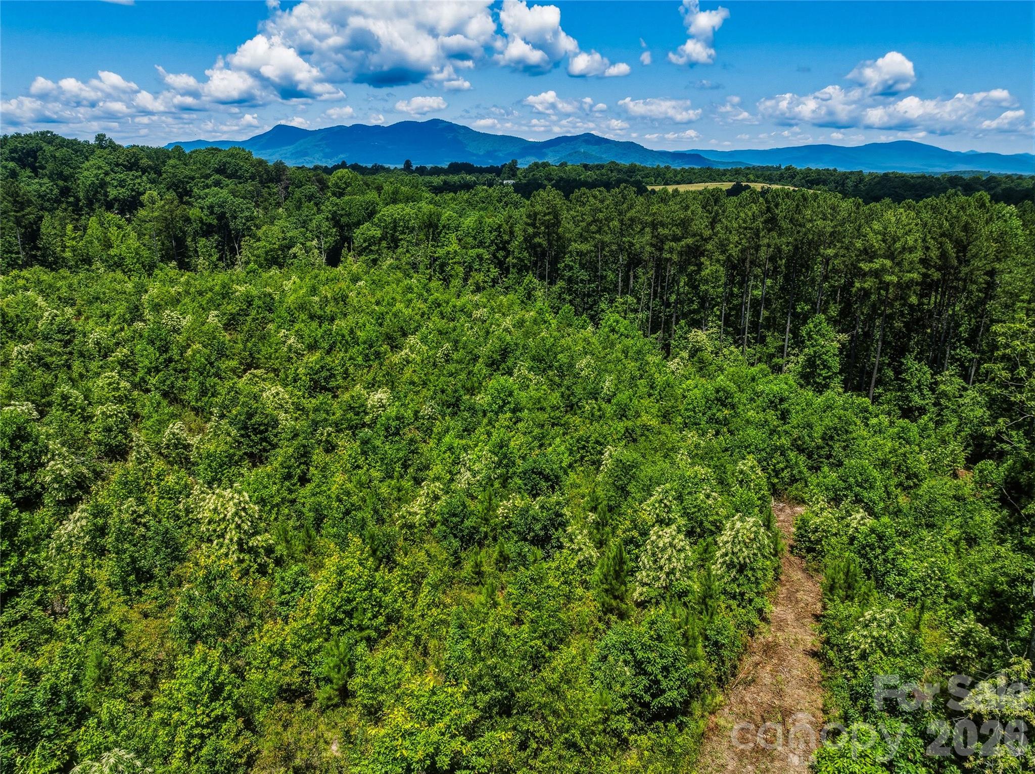 6783 Peniel Road Property Photo 19