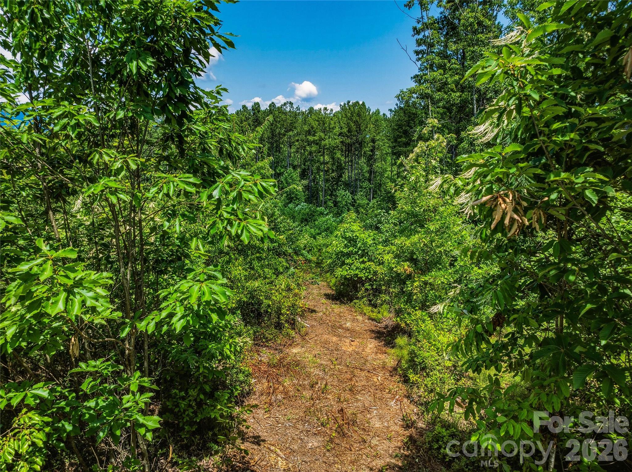 6783 Peniel Road Property Photo 20