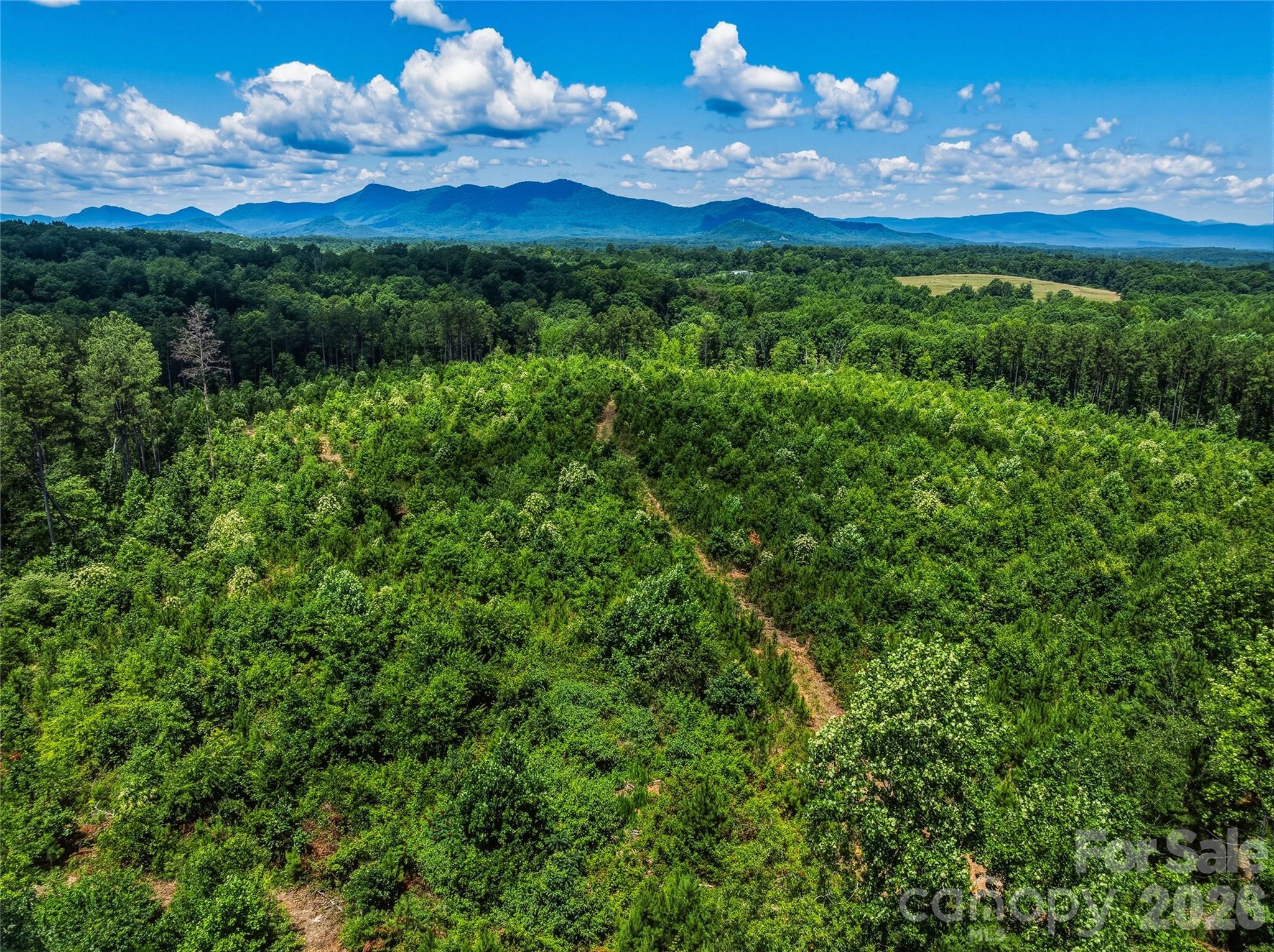 6783 Peniel Road Property Photo 21